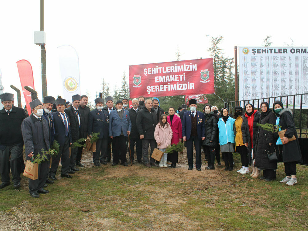 Labor union Turkiye Harp Malulu Gaziler Sehit Dul ve Yetimleri Dernegi, Adapazari, photo