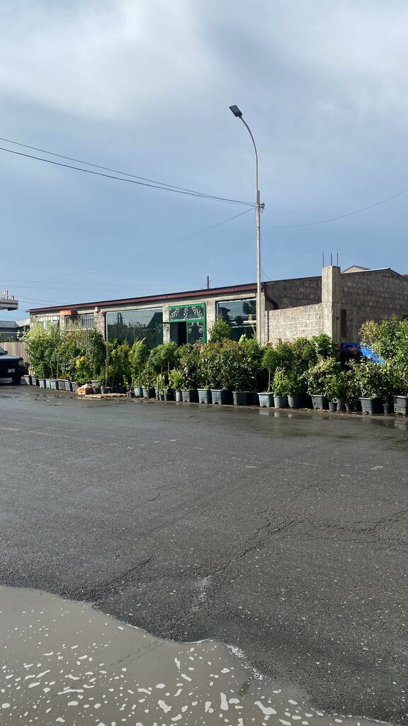 Plant nursery Ariel, Ararat, photo