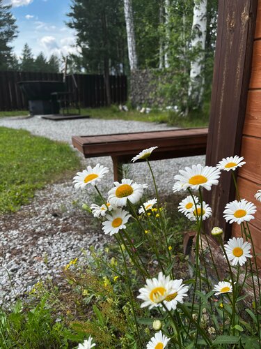Дом в аренду Тихий Кот в Верхнем Дуброве