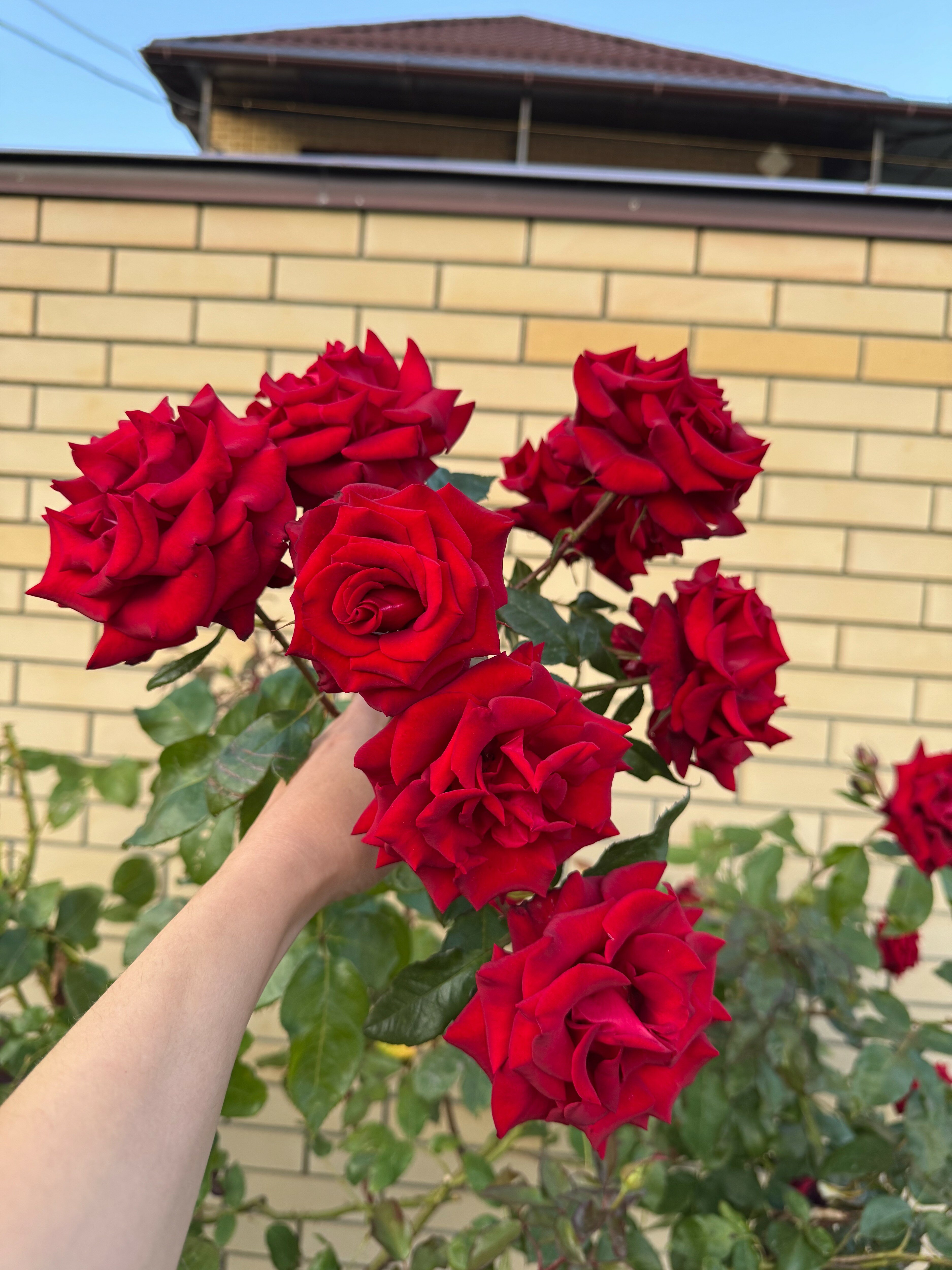 Фото Маленькая Гагра