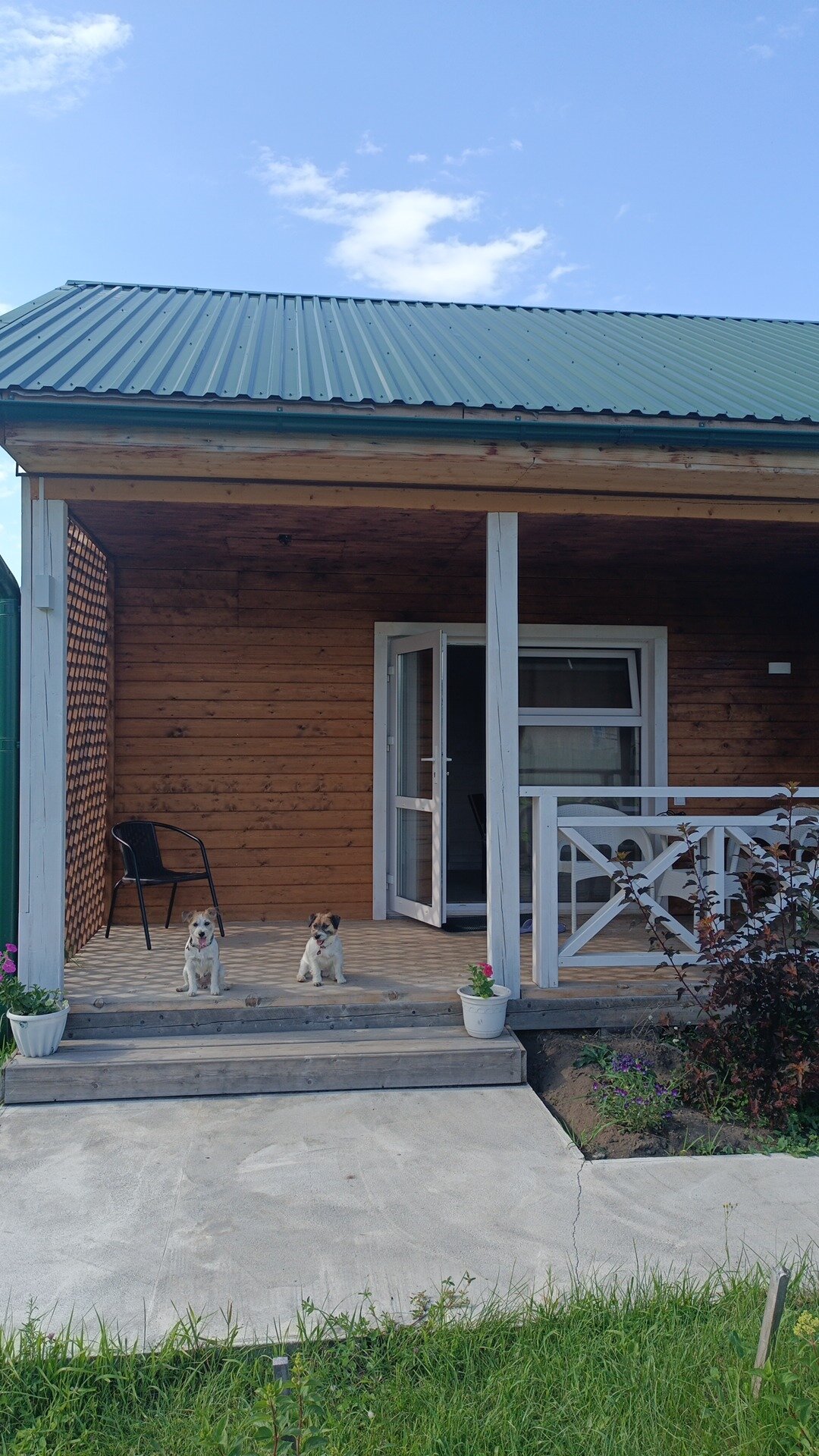 Фото Друзья