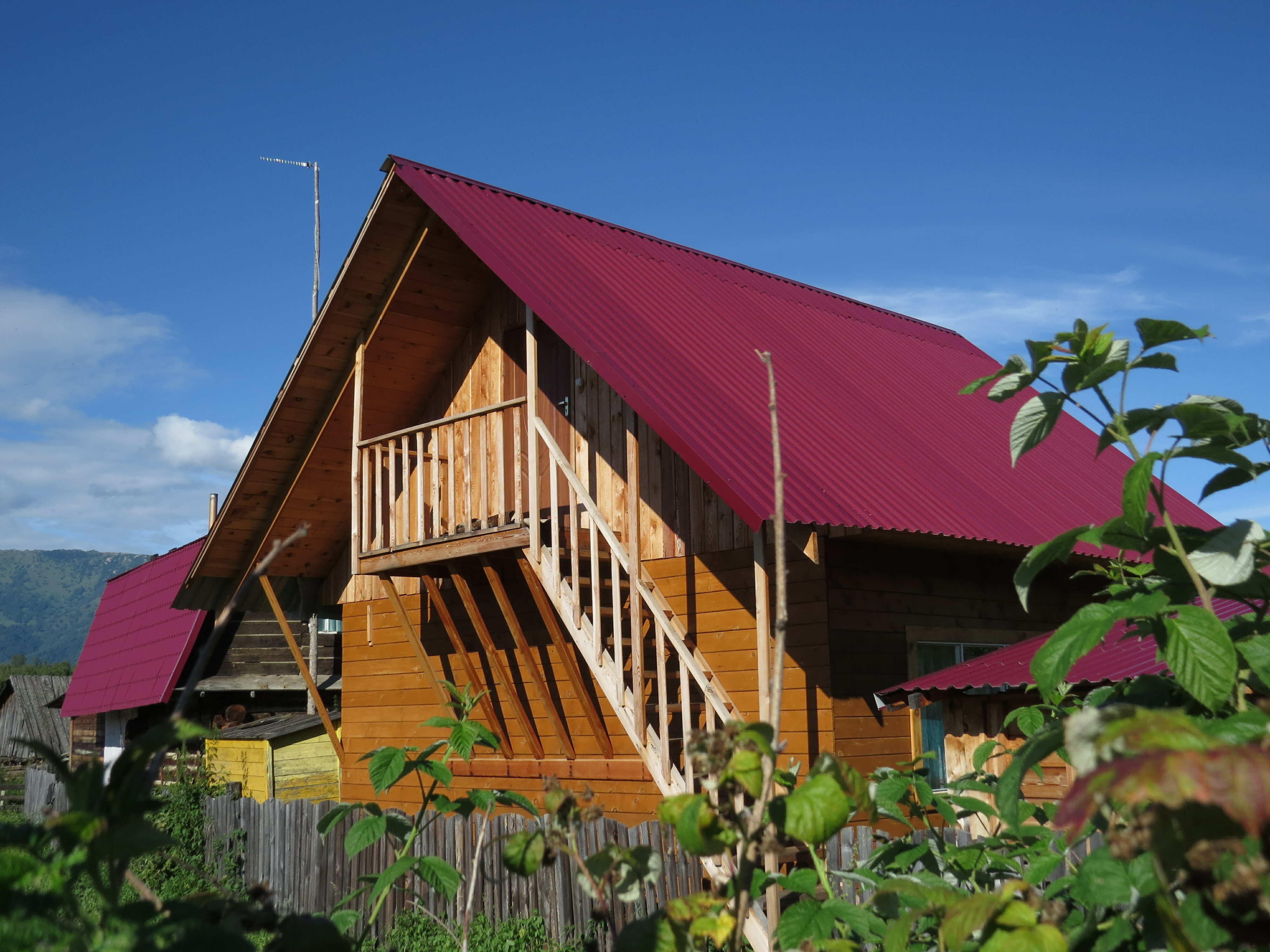 Фото Алтайские встречи