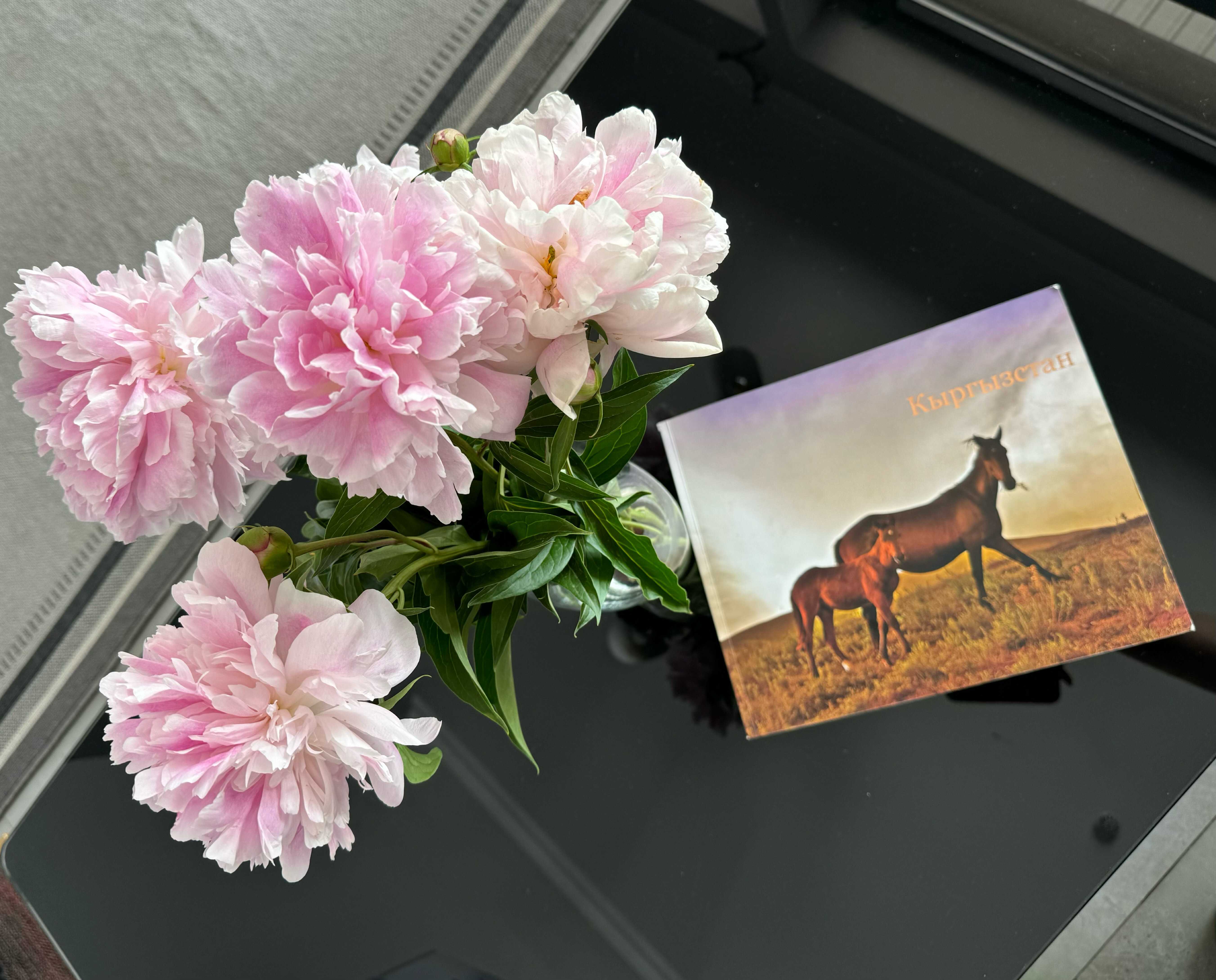 Фото Отель Aurum