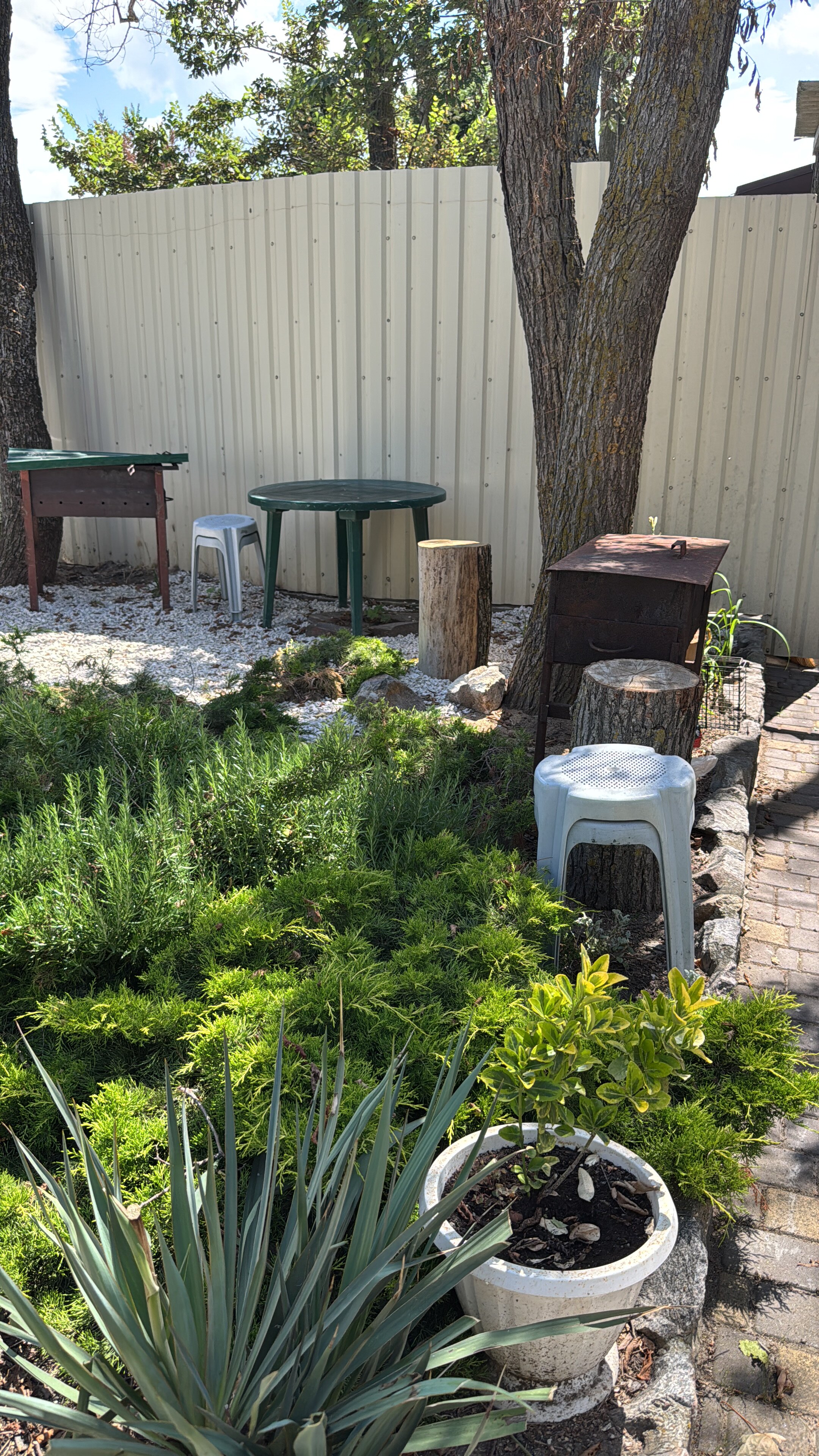 Фото Жемчужный