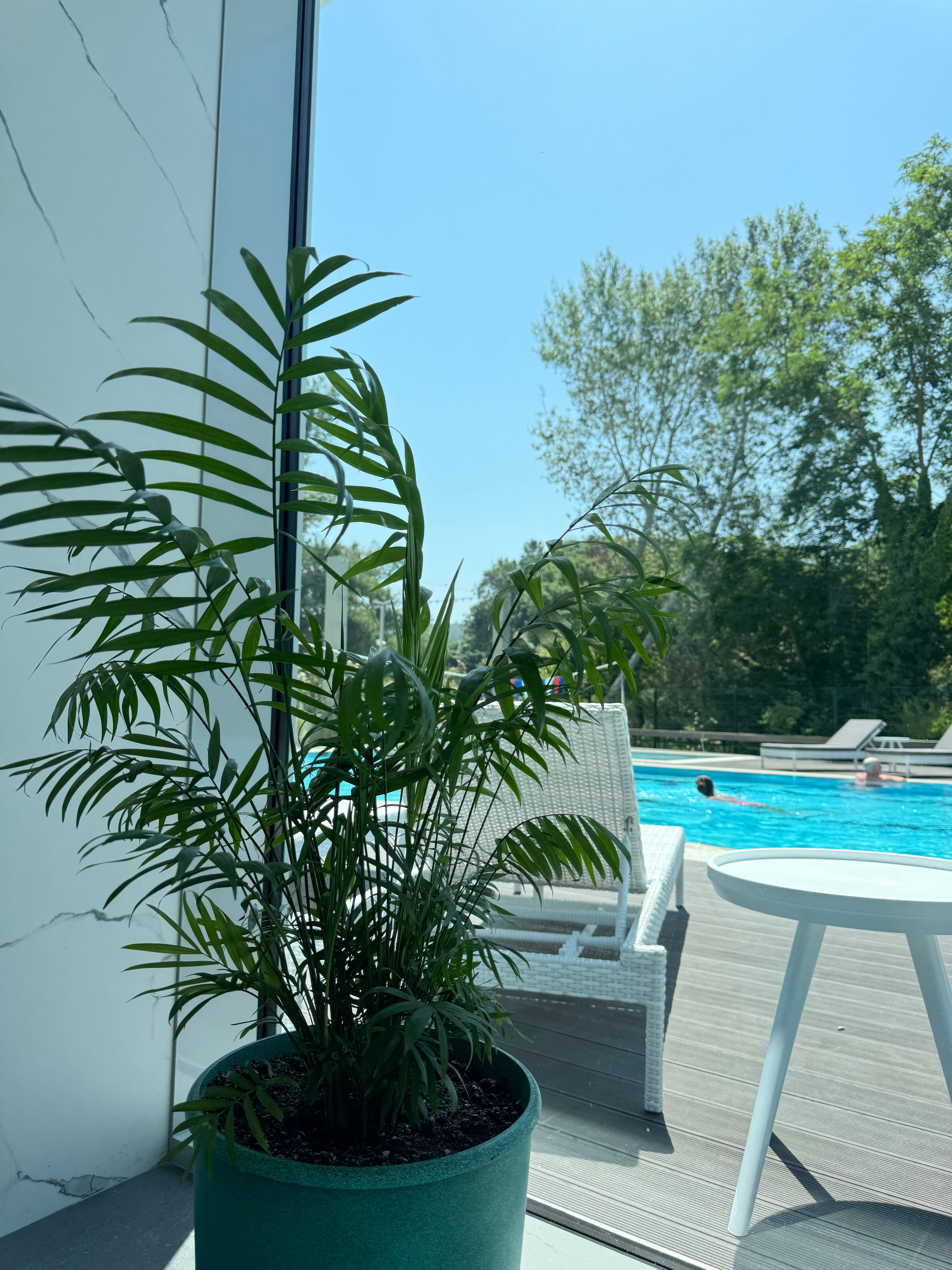 Фото Дивотель отель и спа