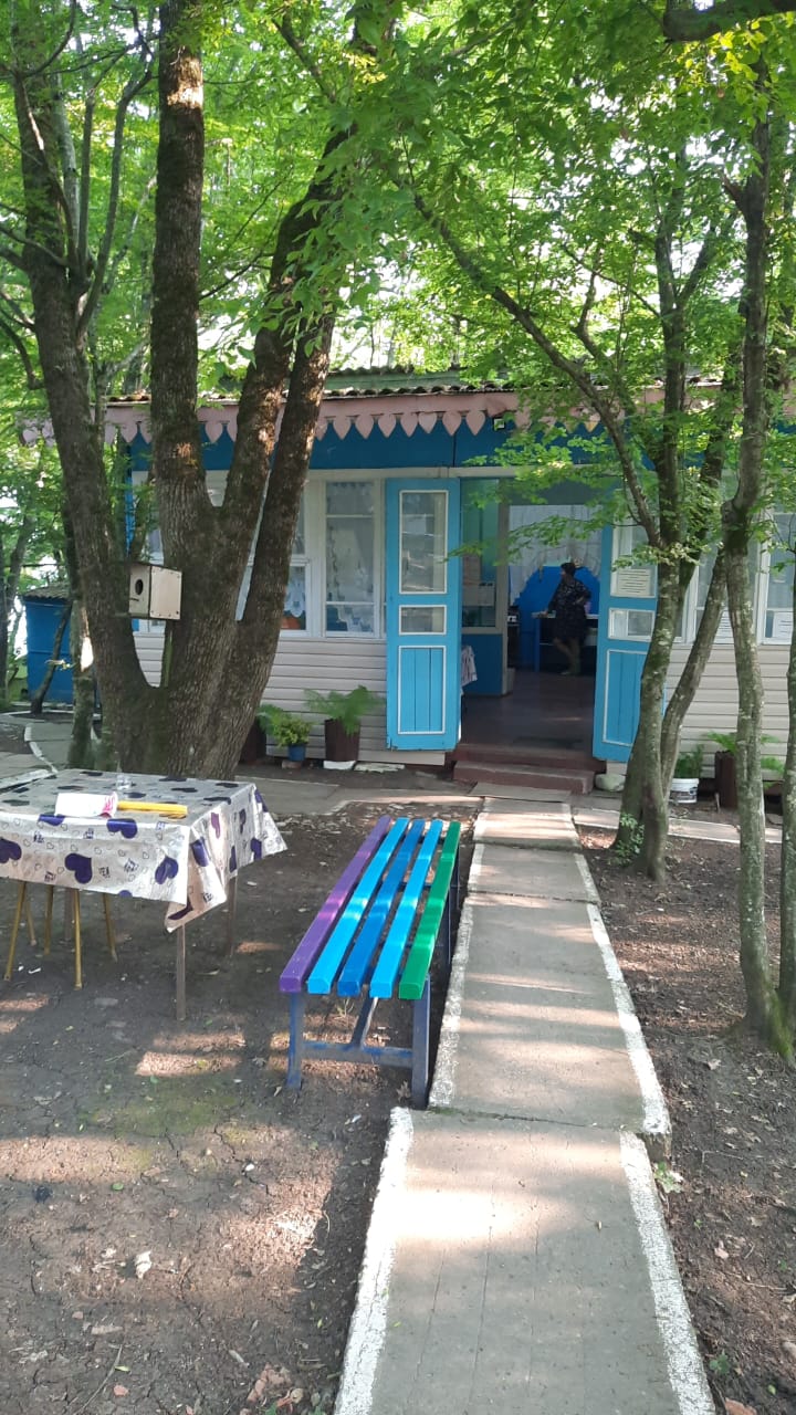 Фото Эдельвейс