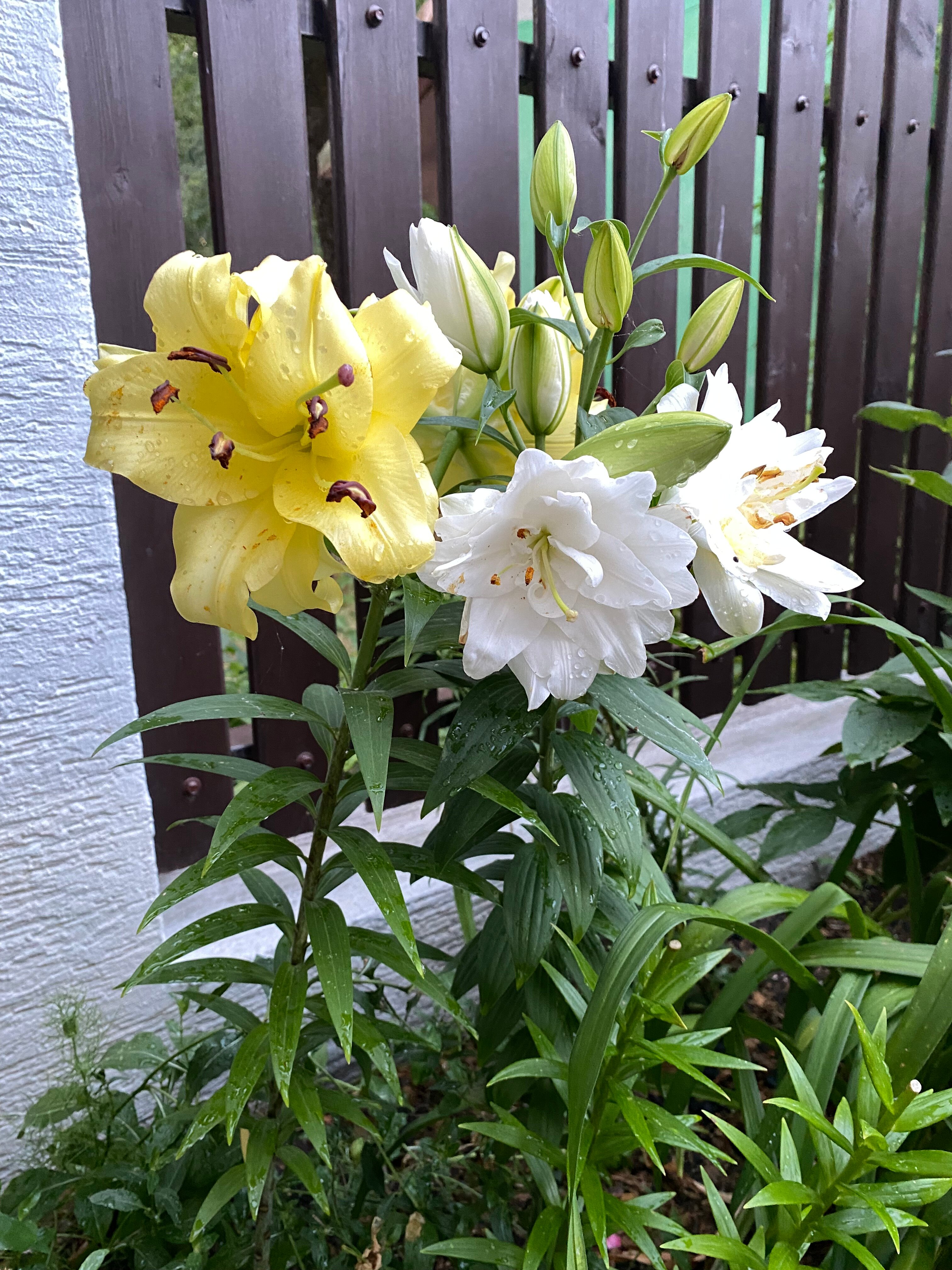 Фото Пляжный