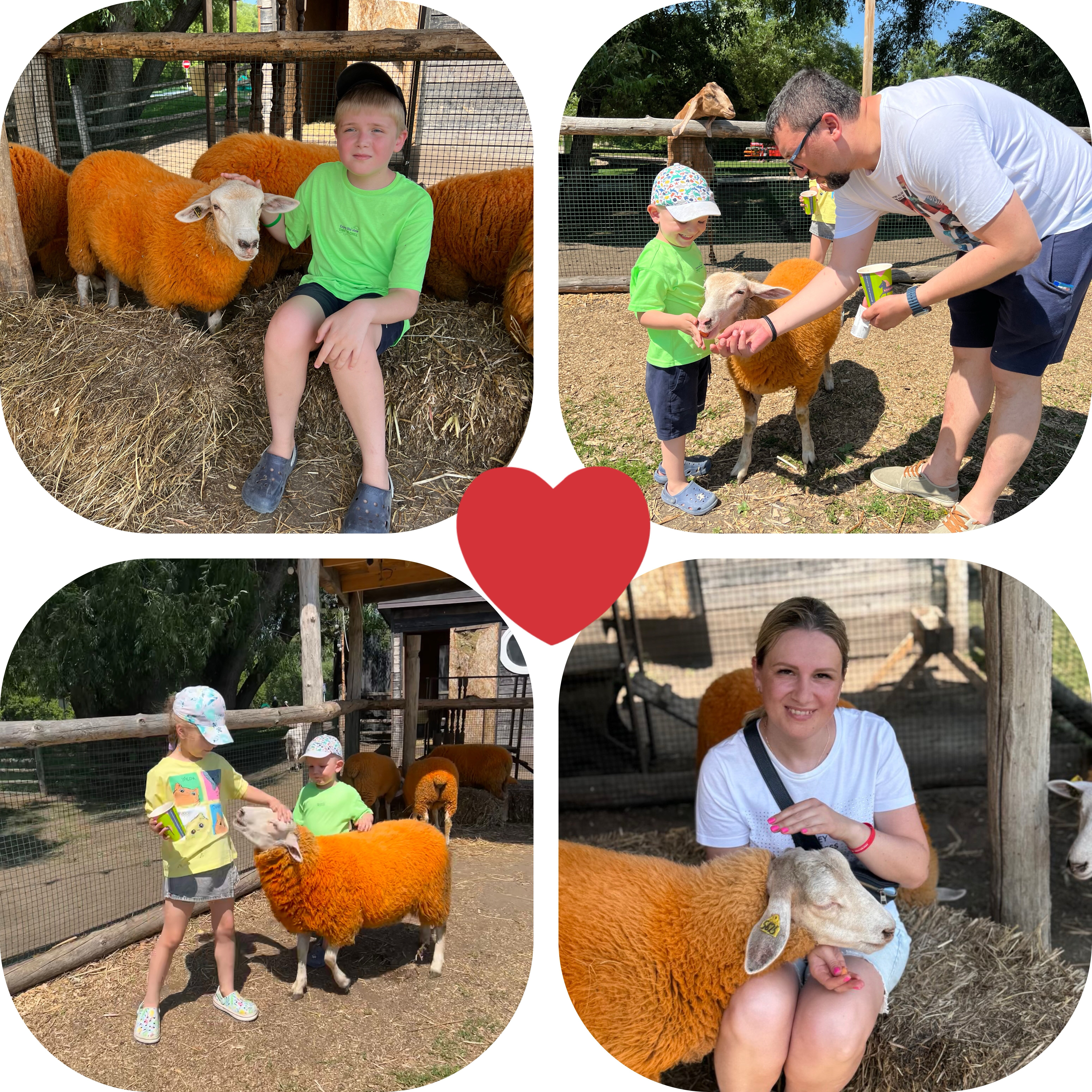 Фото Вишневый сад