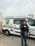 Antalya Pet Transfer Trade Limited Company (Antalya, Konyaalti District, Emniyet Street, 128AA), transportation of animals