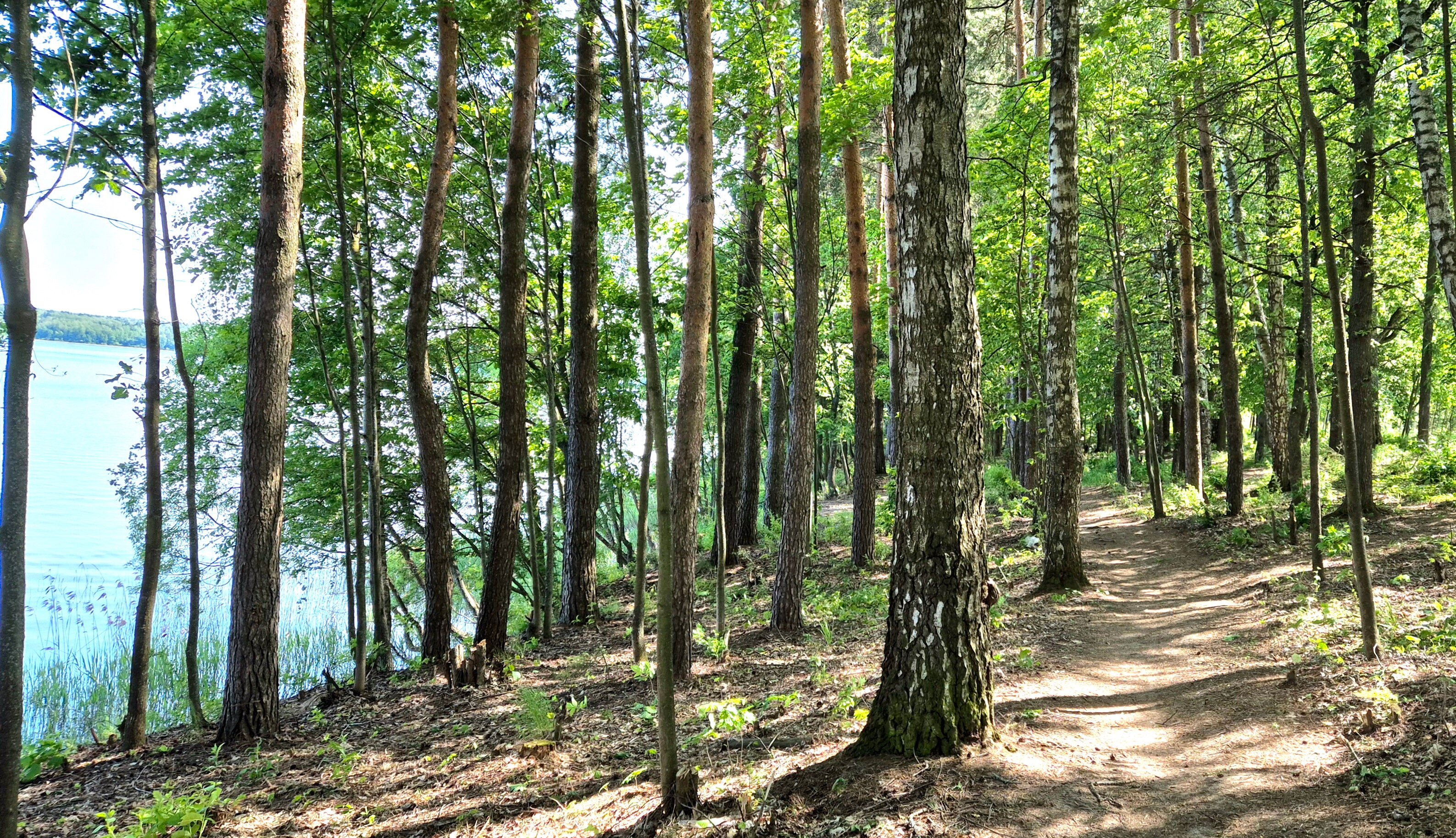 Фото Дача на Истре