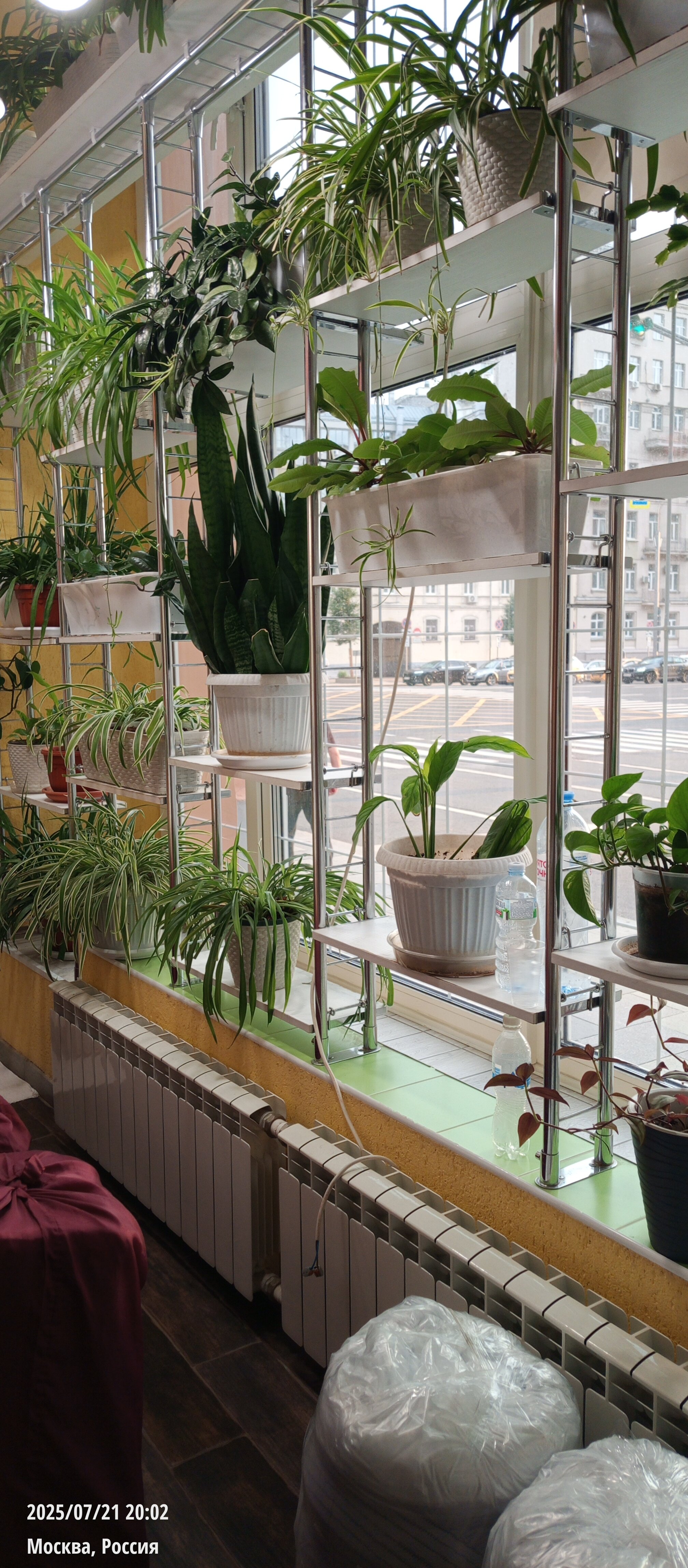 Фото Авита Красные ворота 