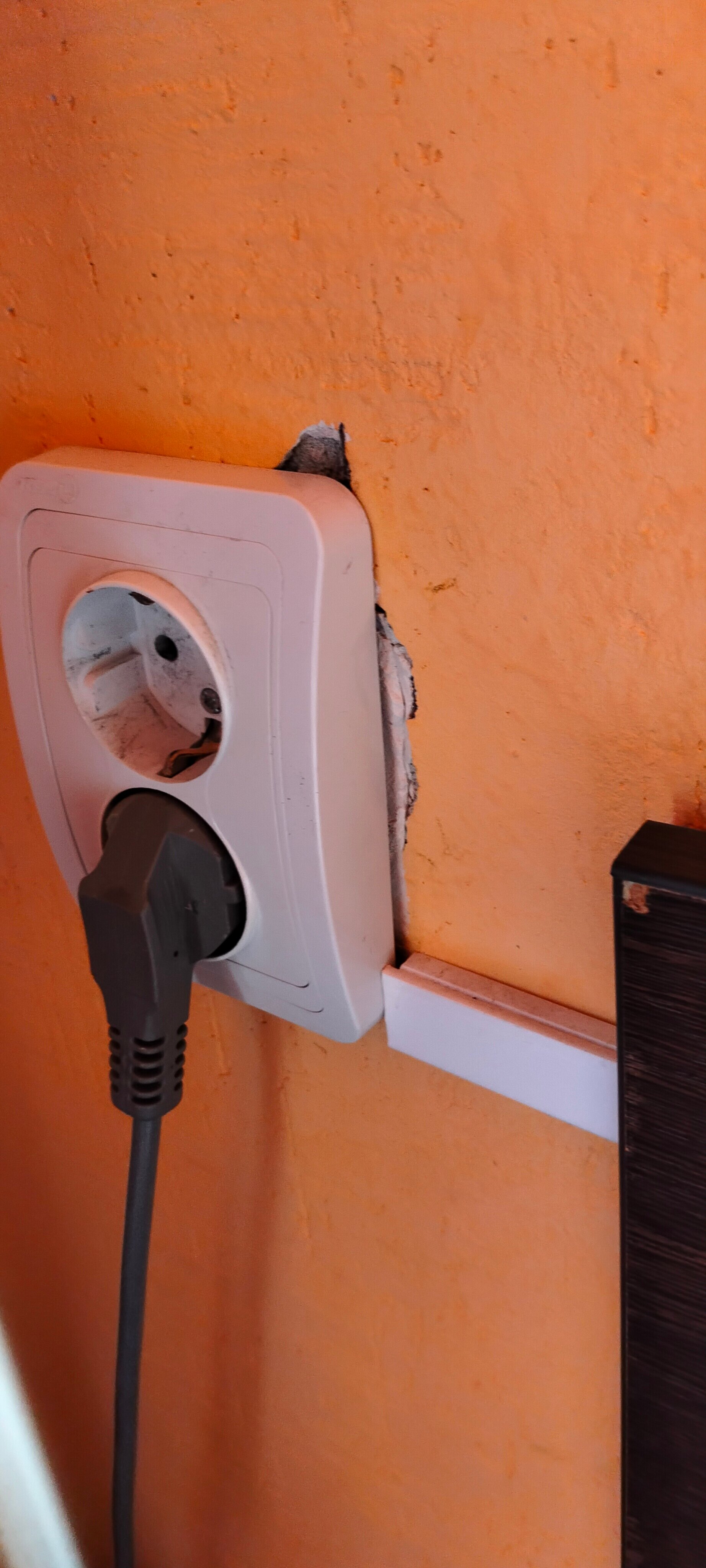 Фото Абрикос