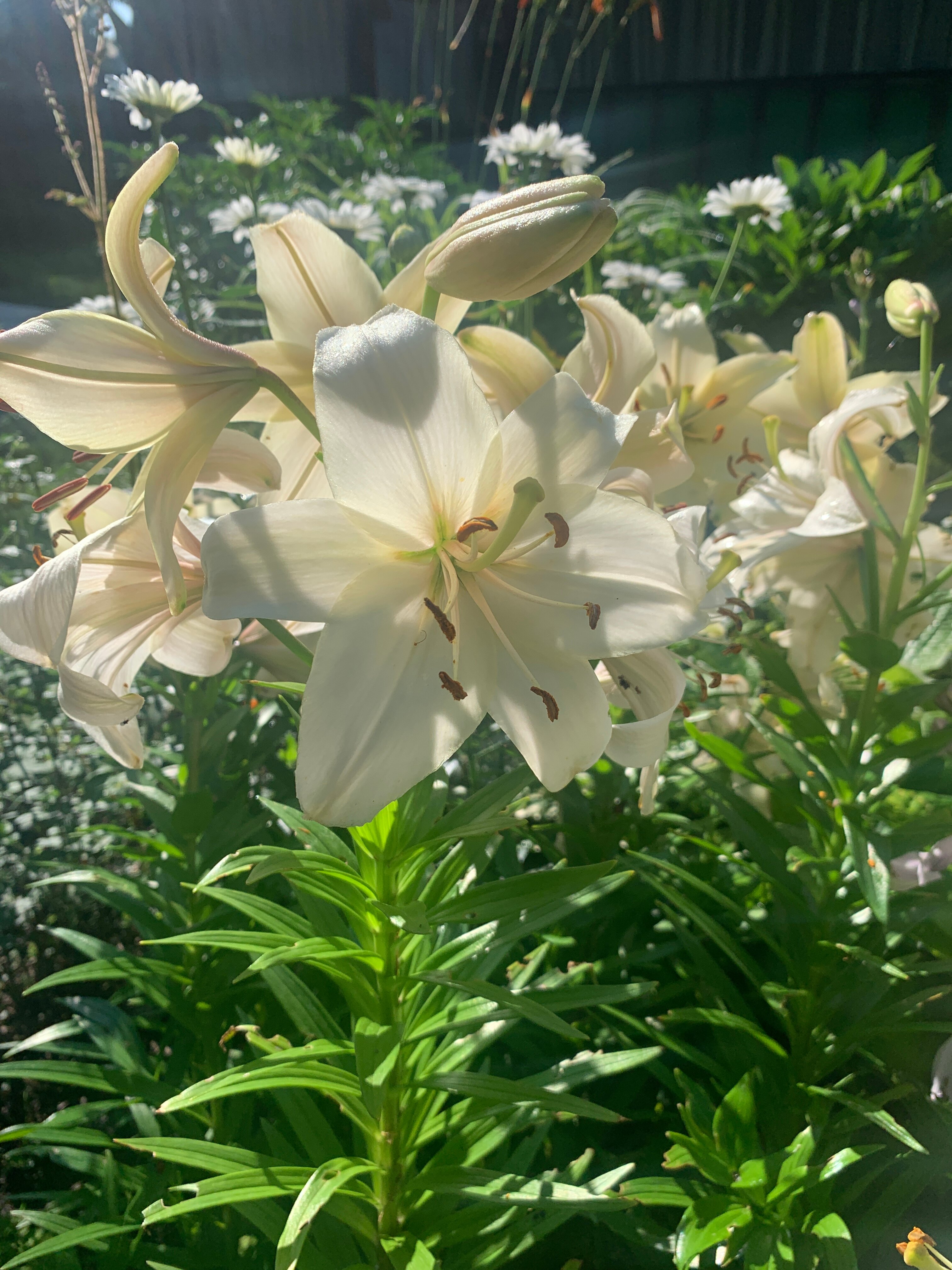 Фото Каркушин Дом