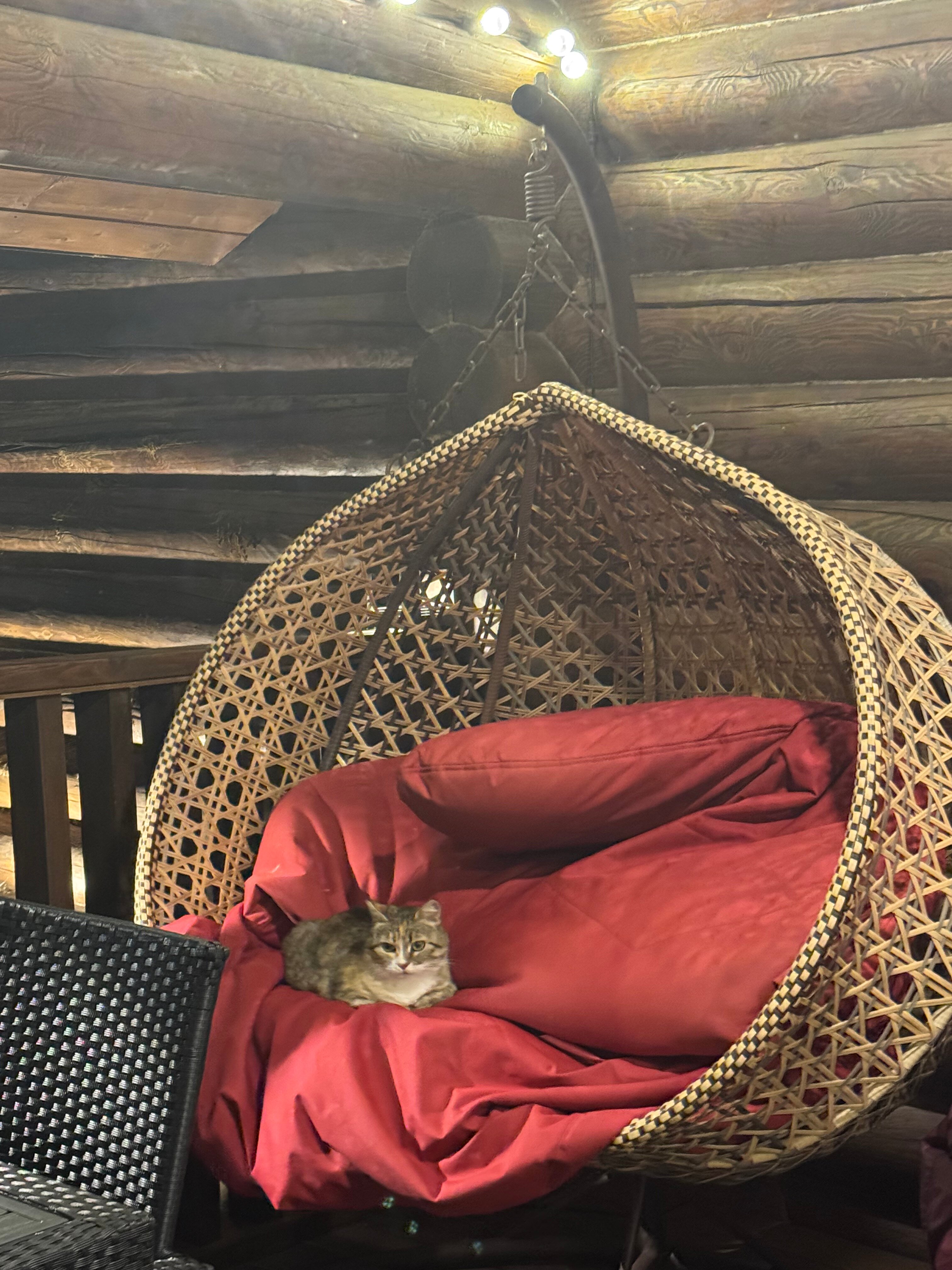 Фото Легенды леса