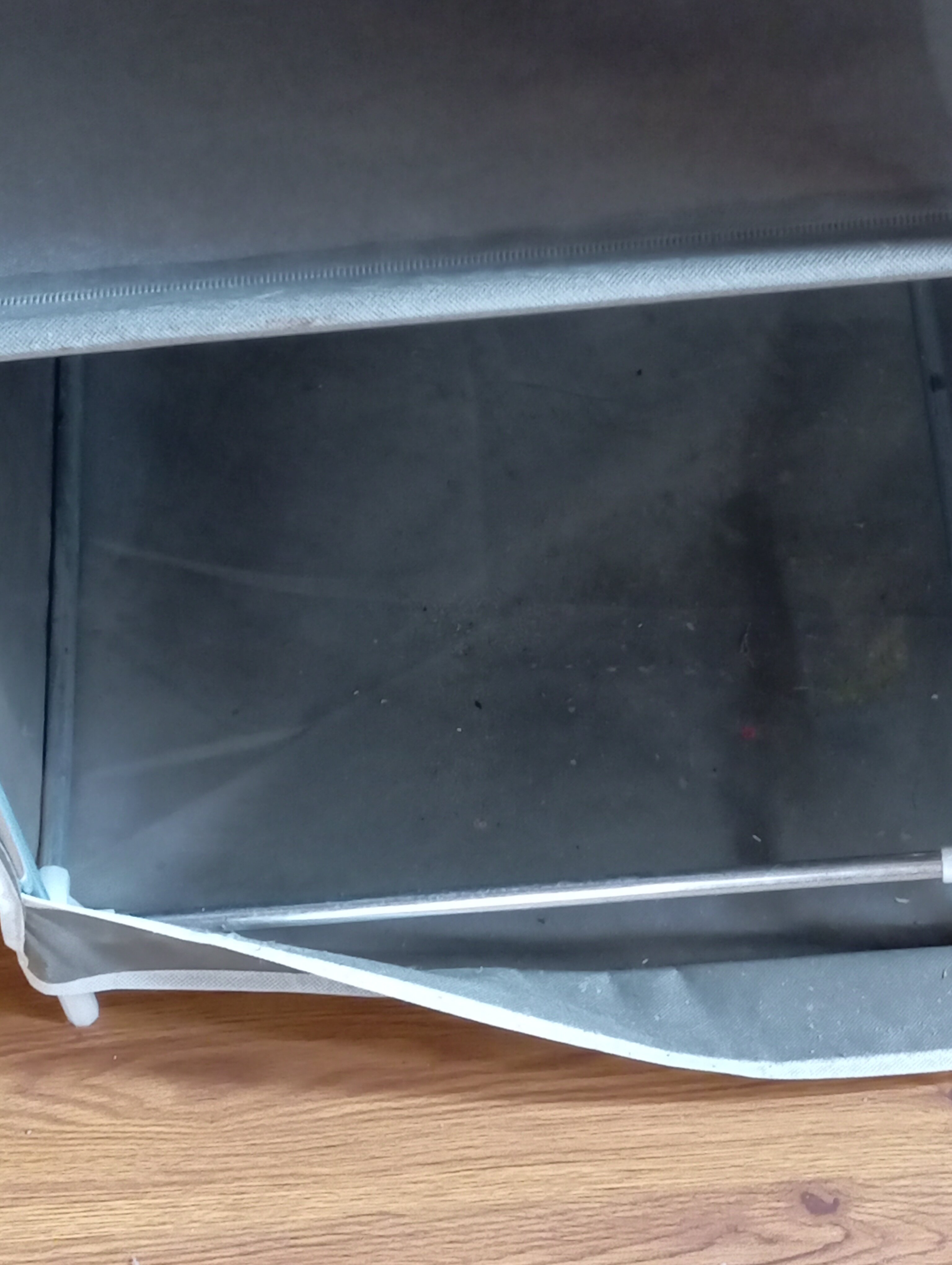 Фото Рябиновая