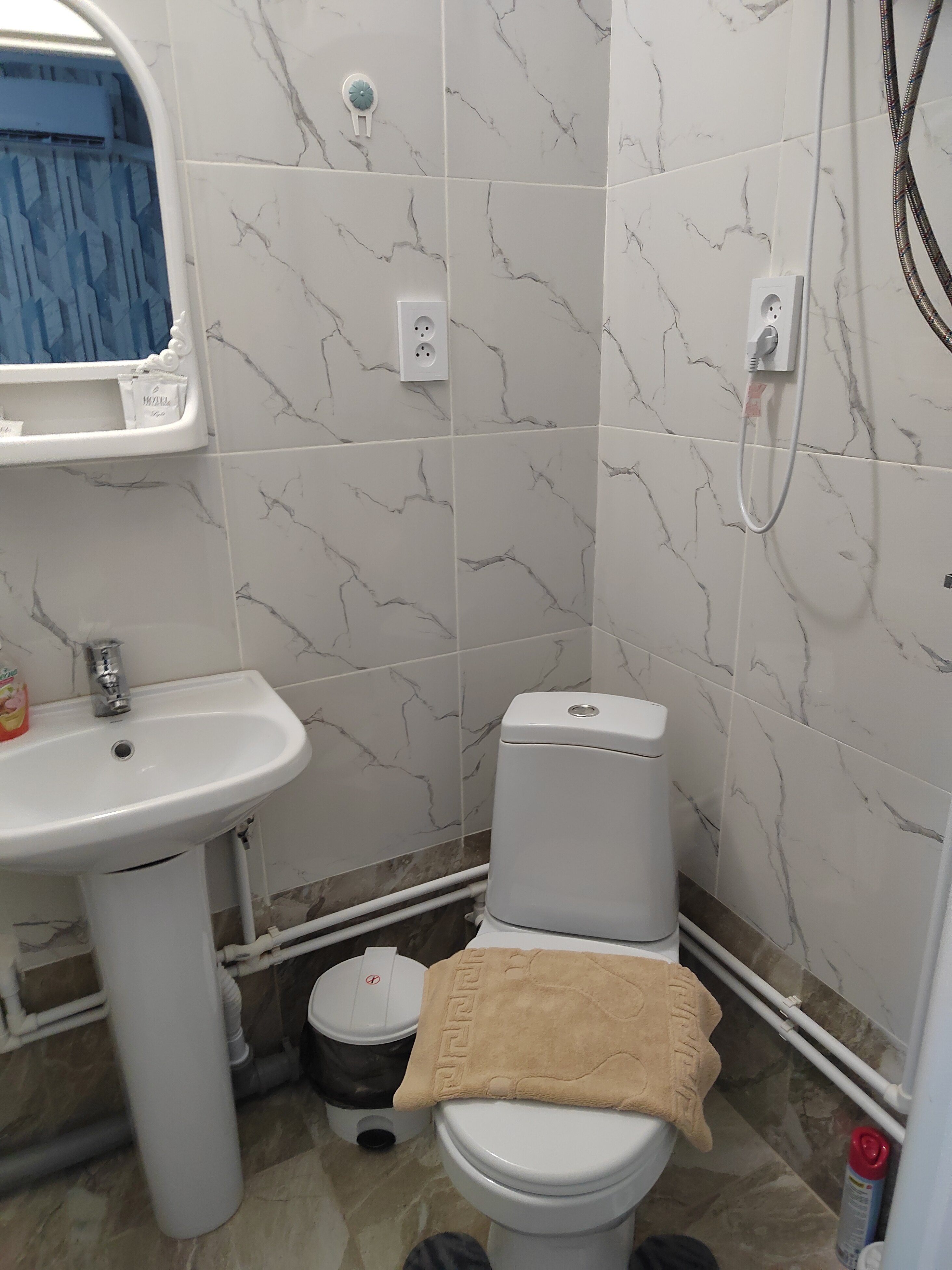 Фото Барбарис