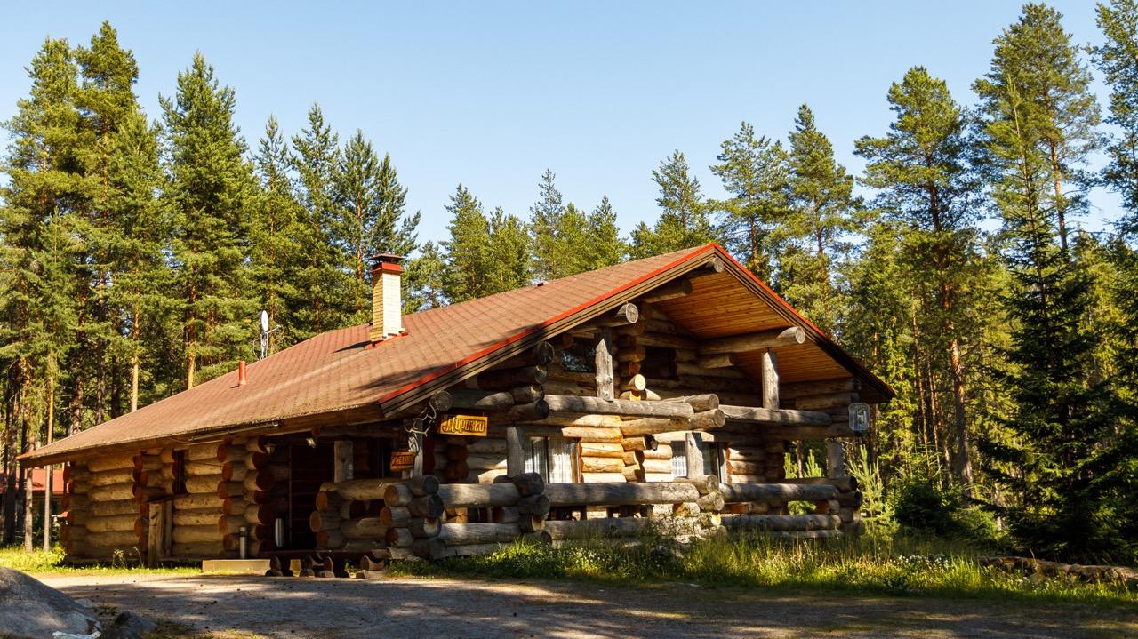 Фото Медвежка в Карелии