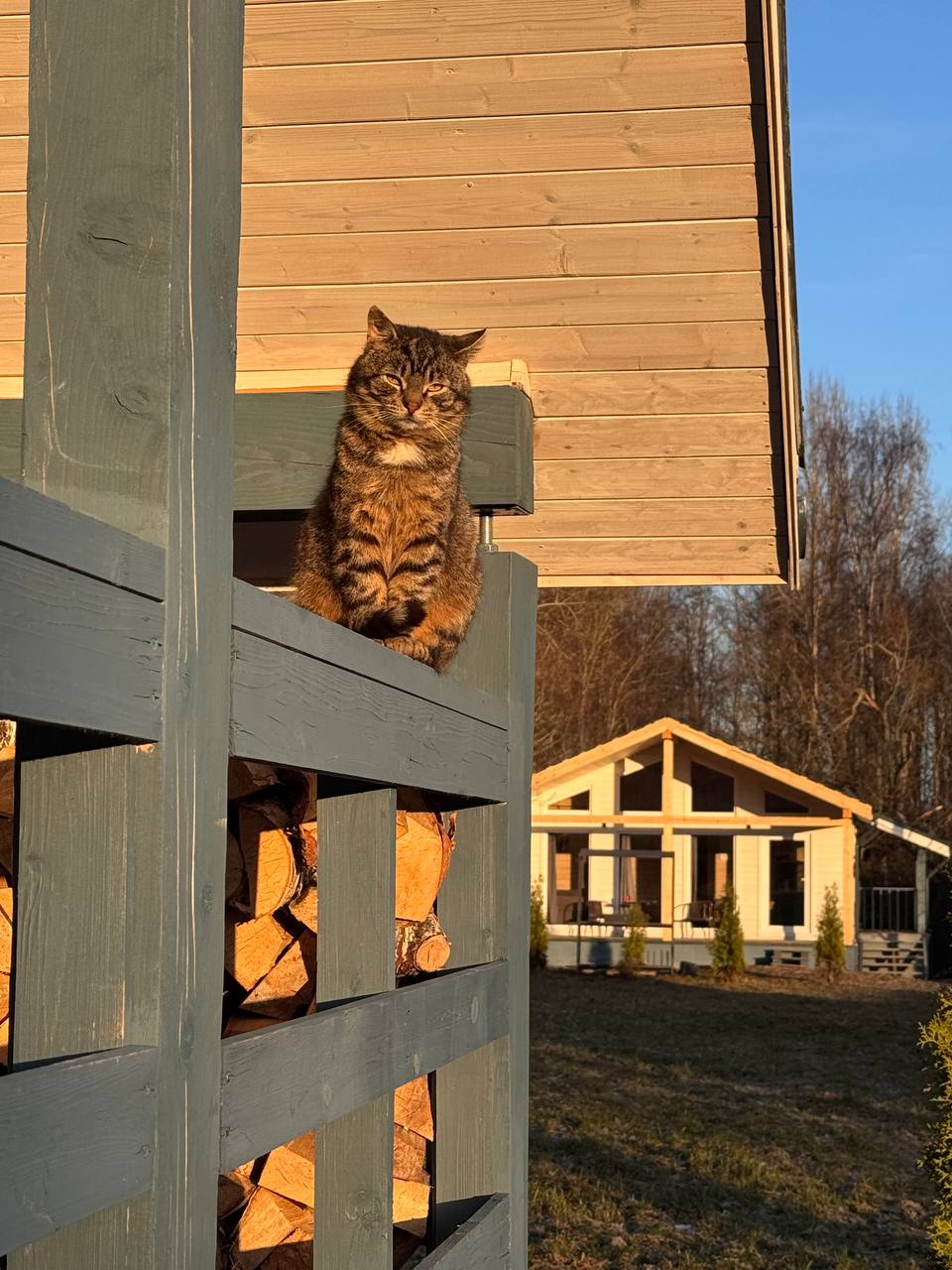 Фото Ленинградский Куршавель