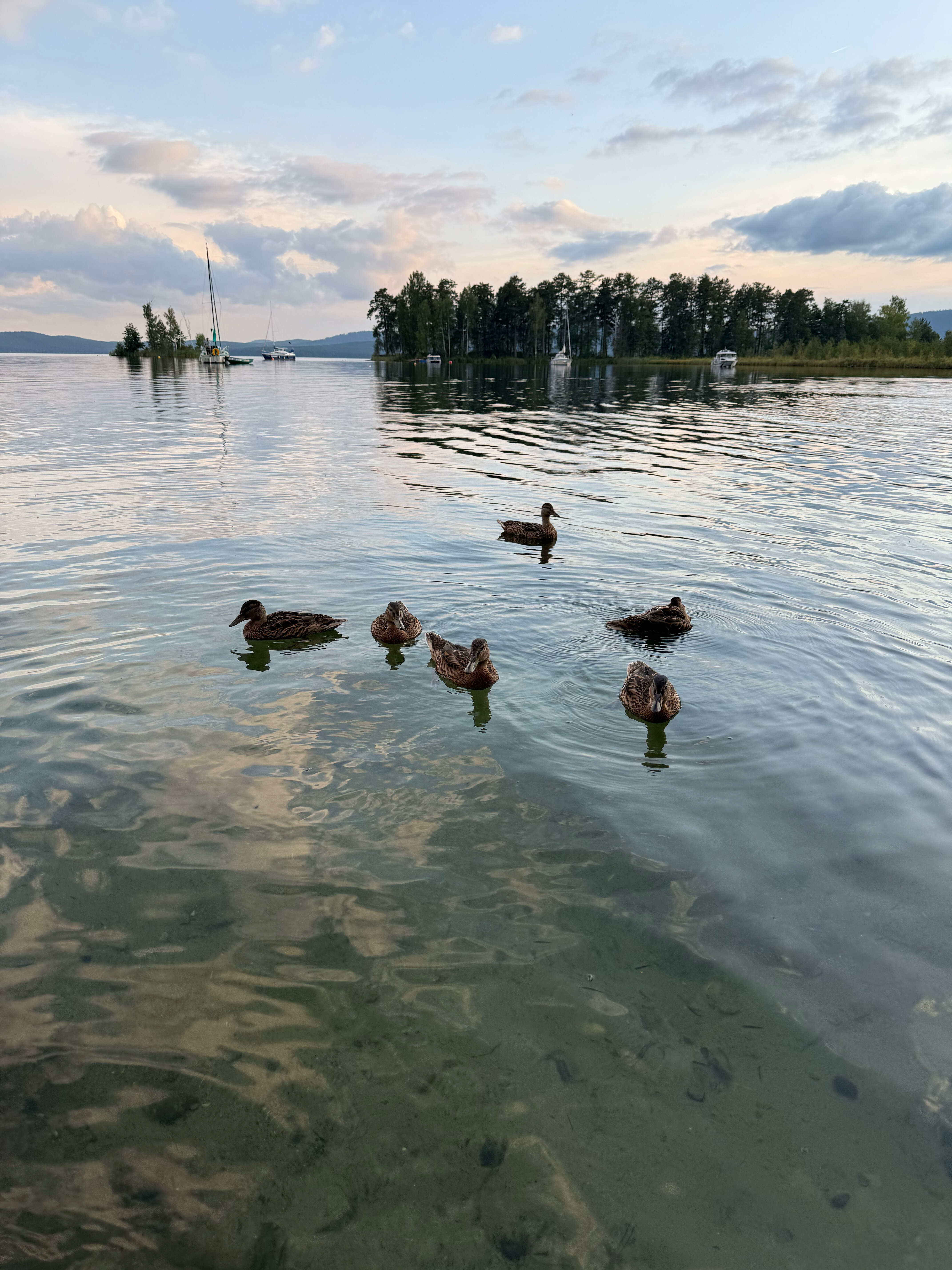 Фото Тургояк-Сити