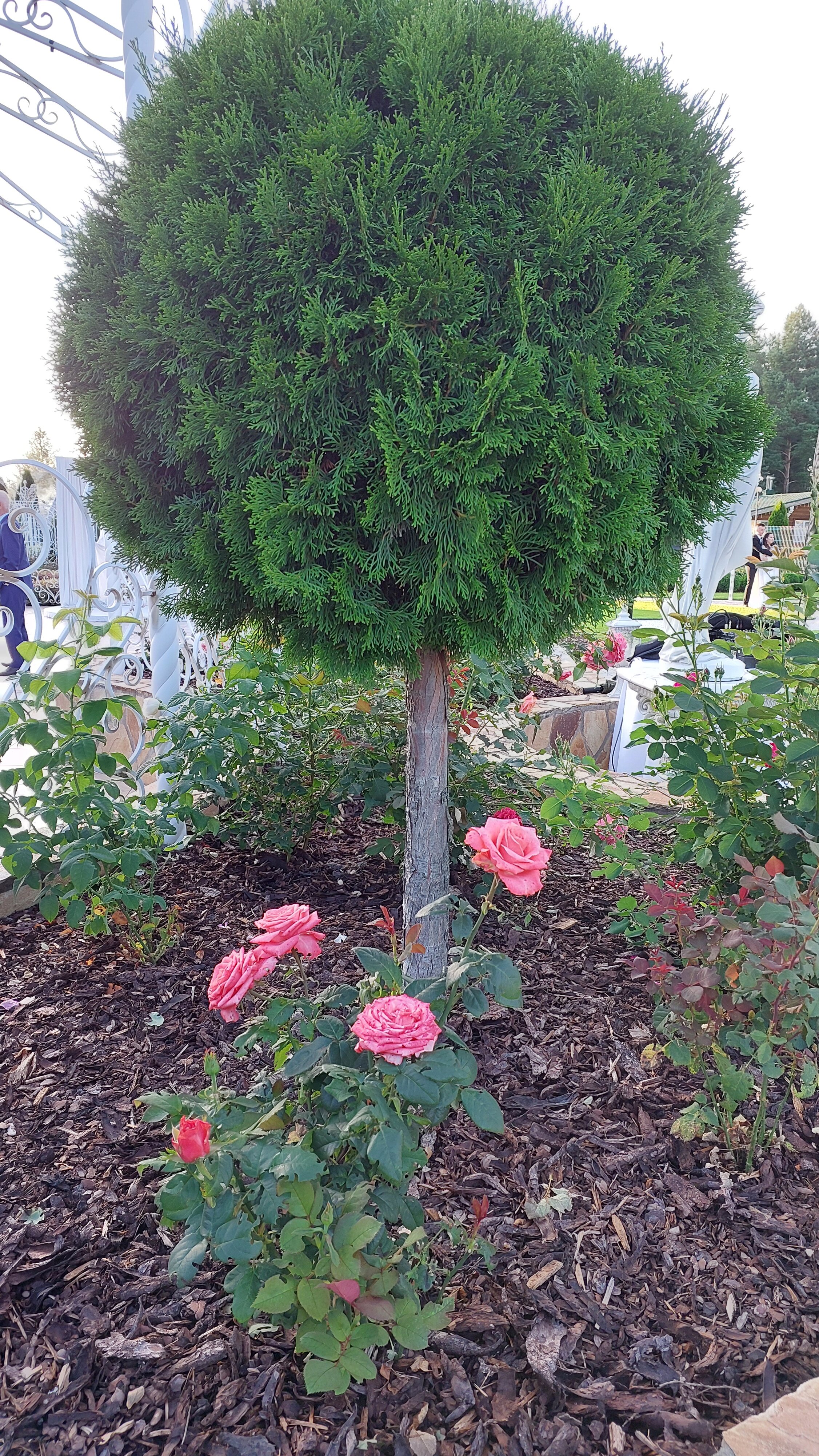 Фото Имение Дубровского