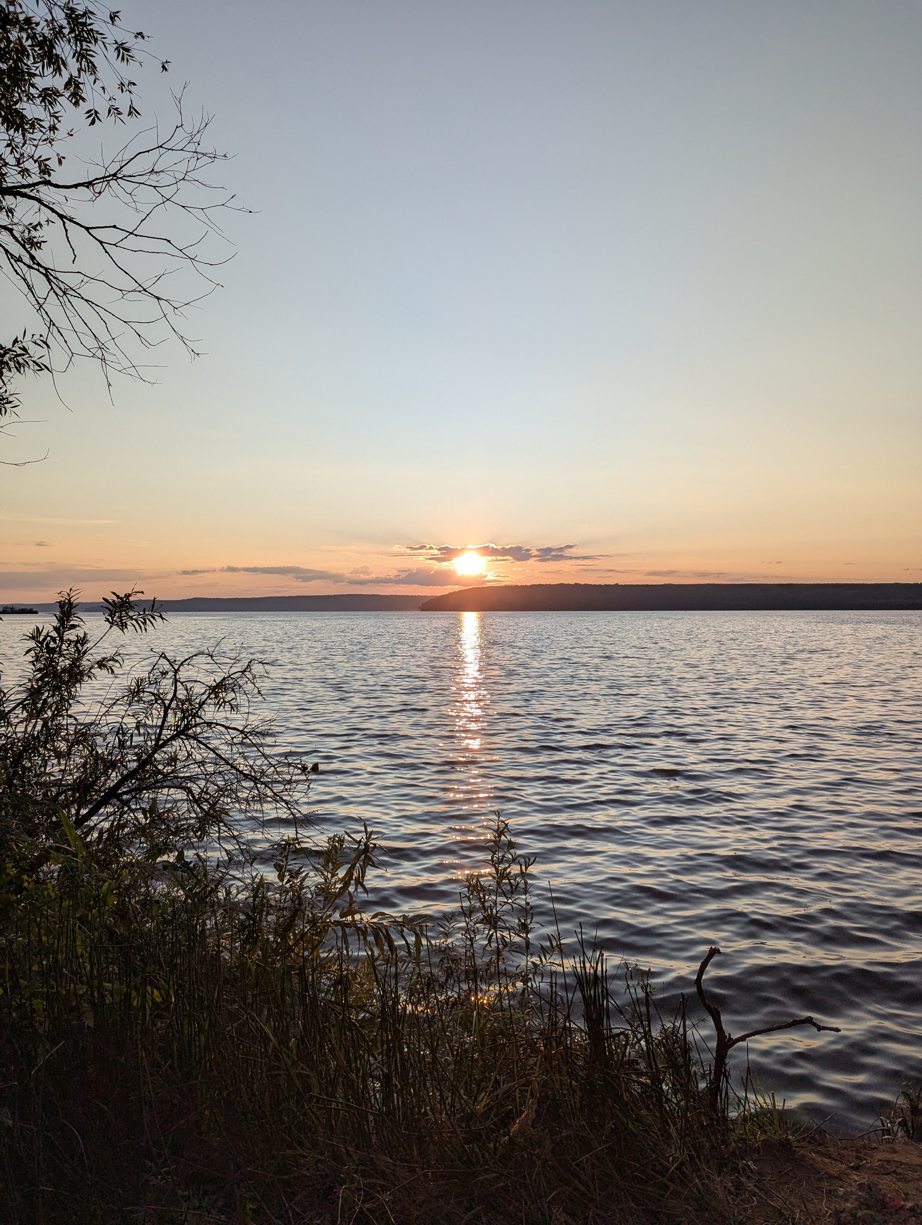 Фото Облепиха