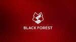 Black Forest Group (Sharof Rashidov Avenue, 69), business consulting