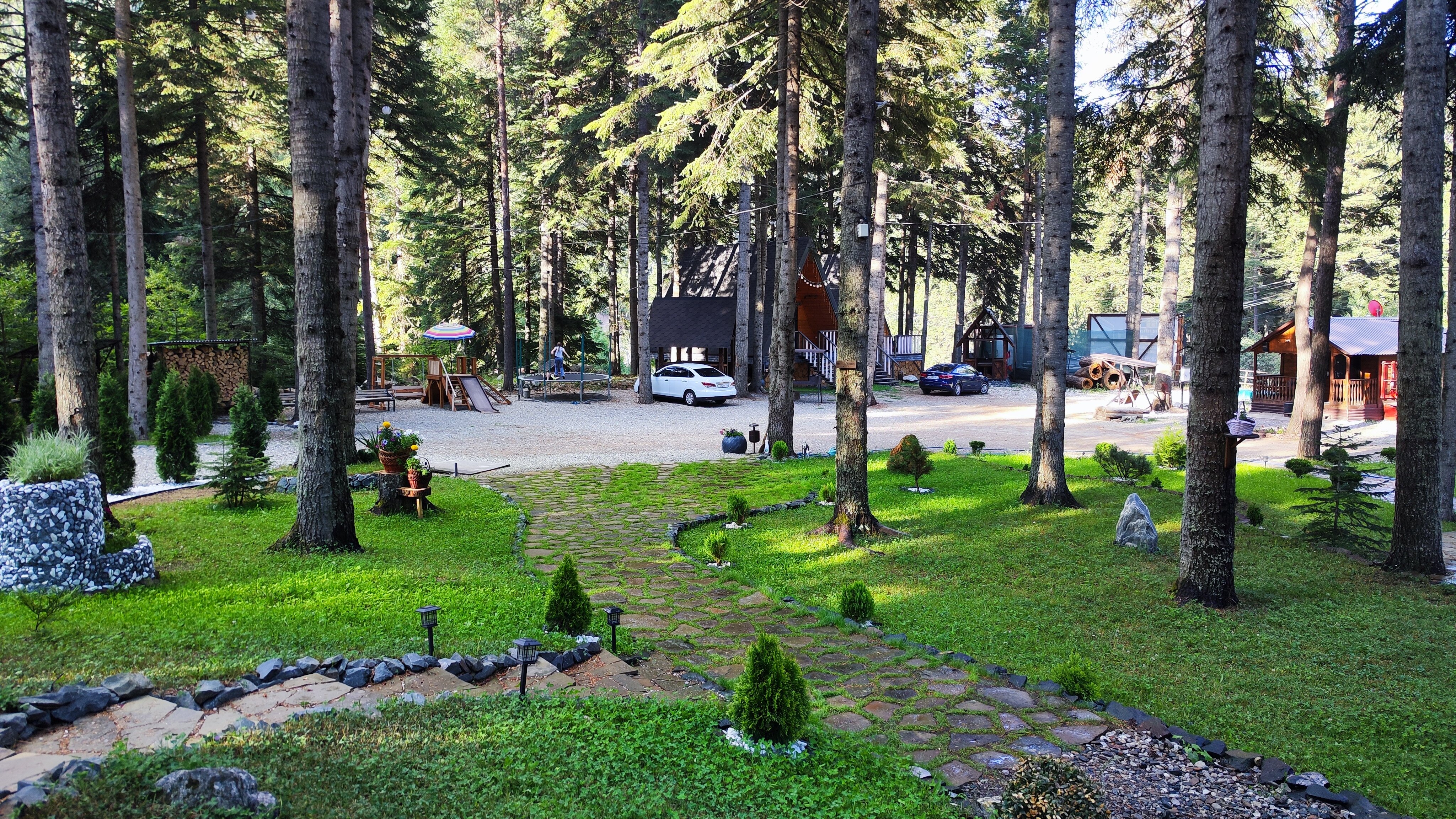 Фото Пихта-парк