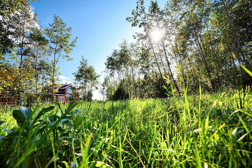 Фото Просто Эко