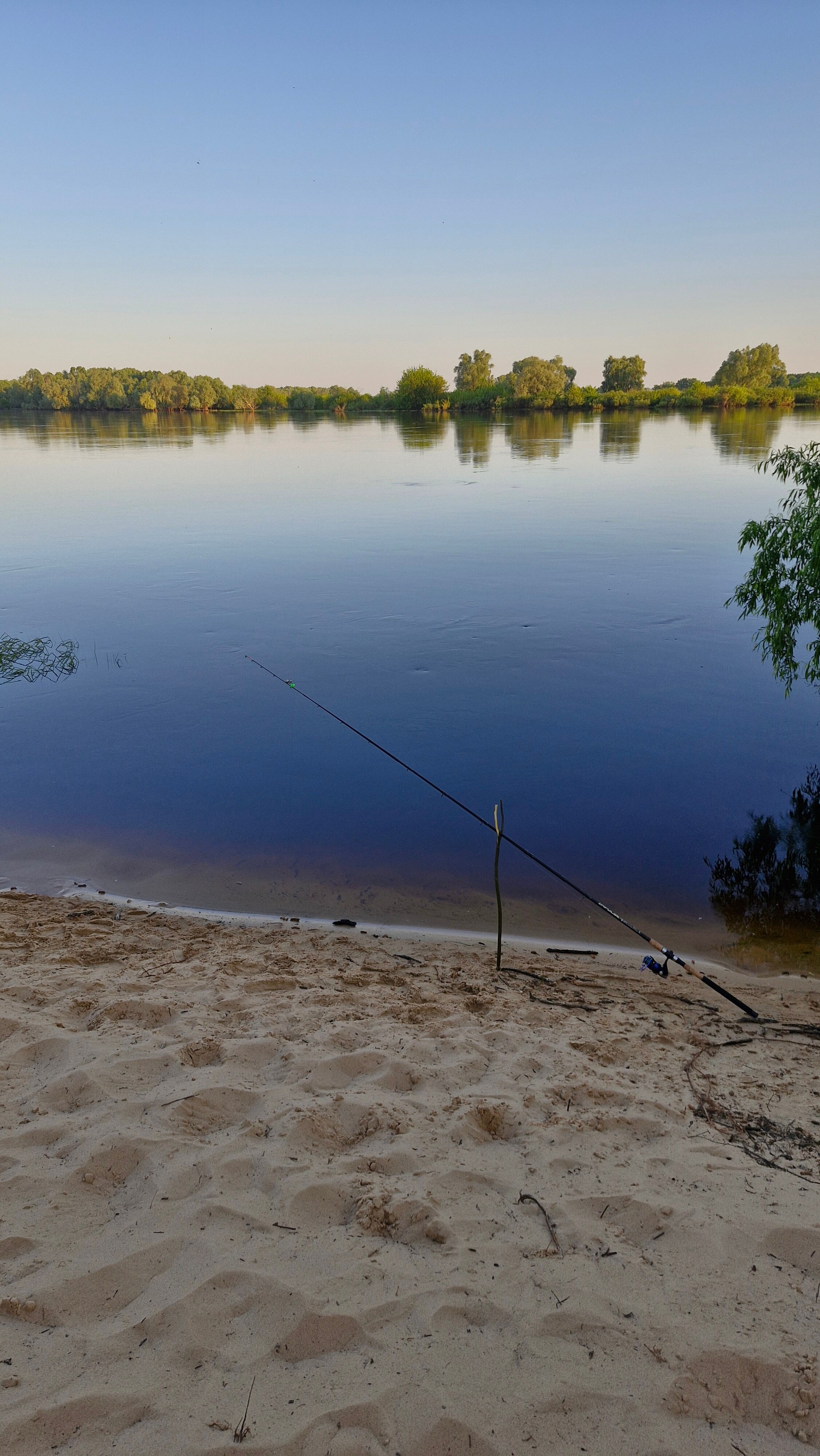 Фото Гомель