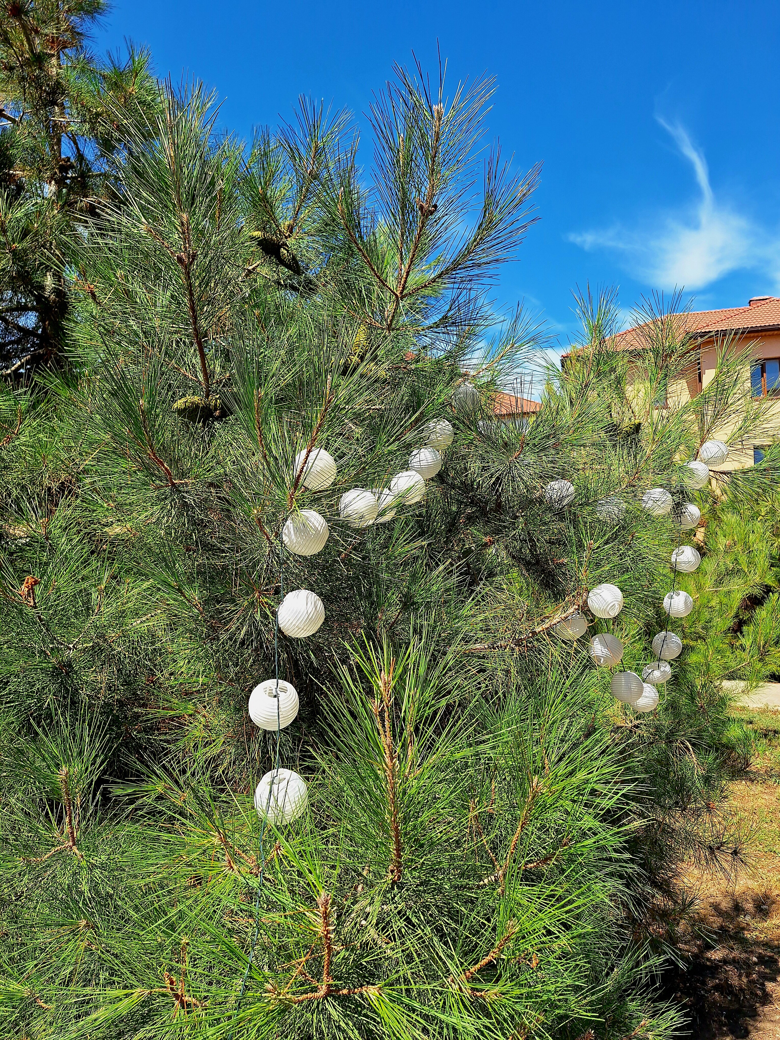 Фото Grande Del Mare