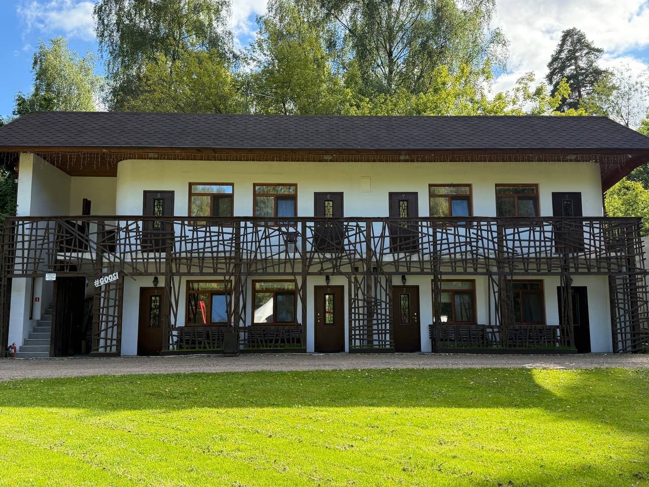 Фото Гуси-Лебеди