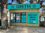 Rozcvetyt (posyolok gorodskogo tipa Novomikhaylovskiy, Mira Street, 78), flower shop