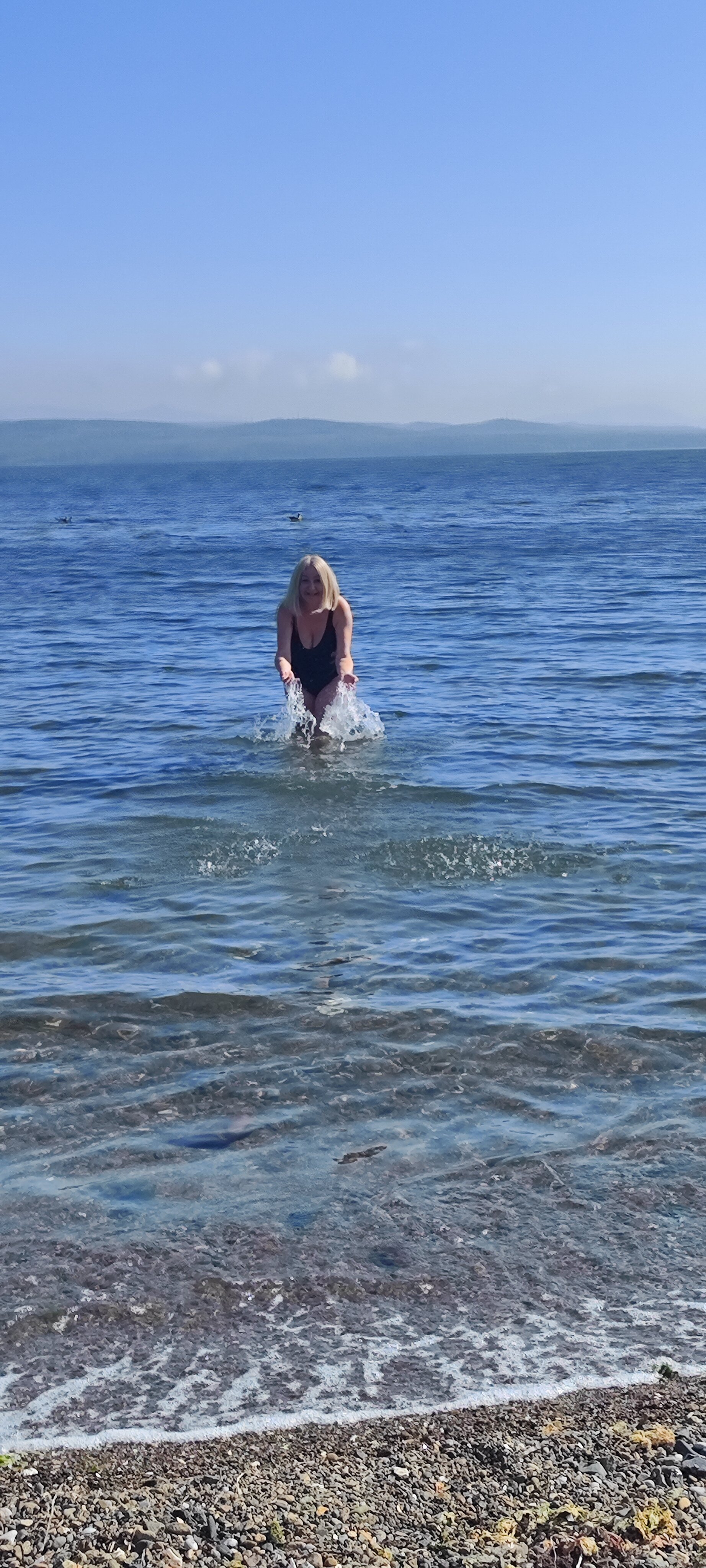 Фото Лазурная черепаха