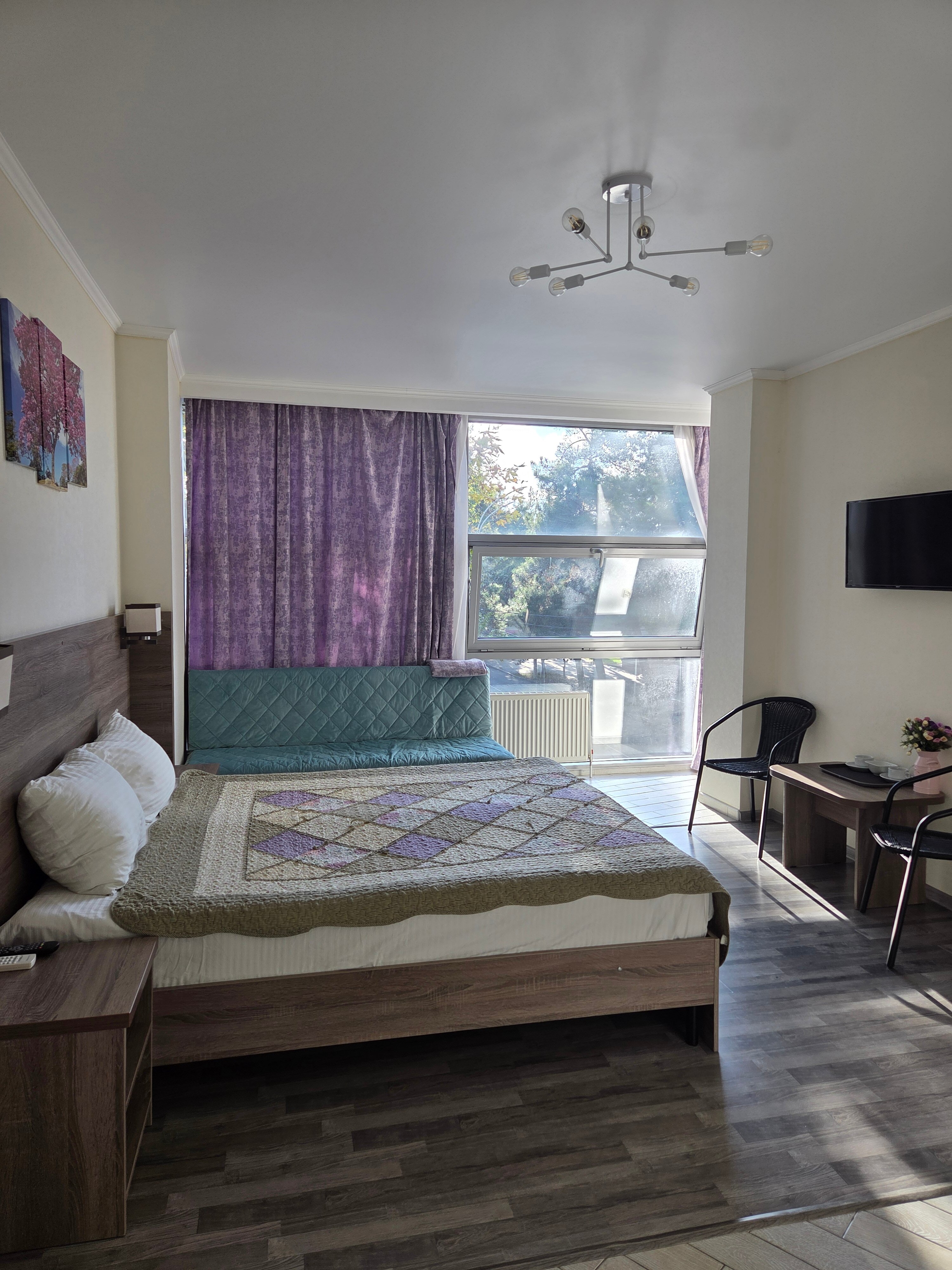 Фото Камелия