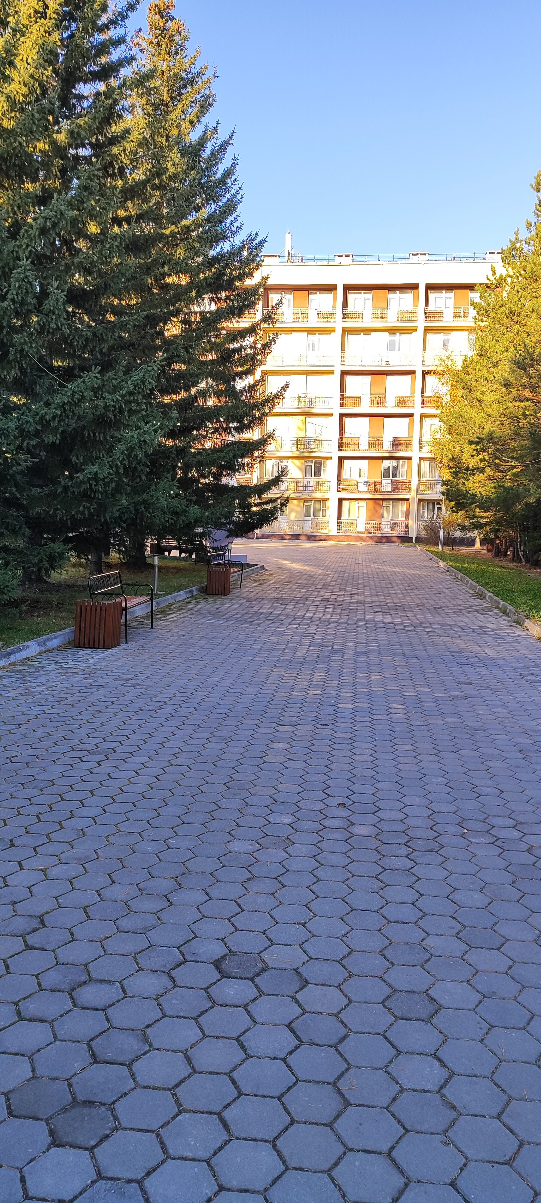 Эшлин Брук қара еркектермен жыныстық қатынас