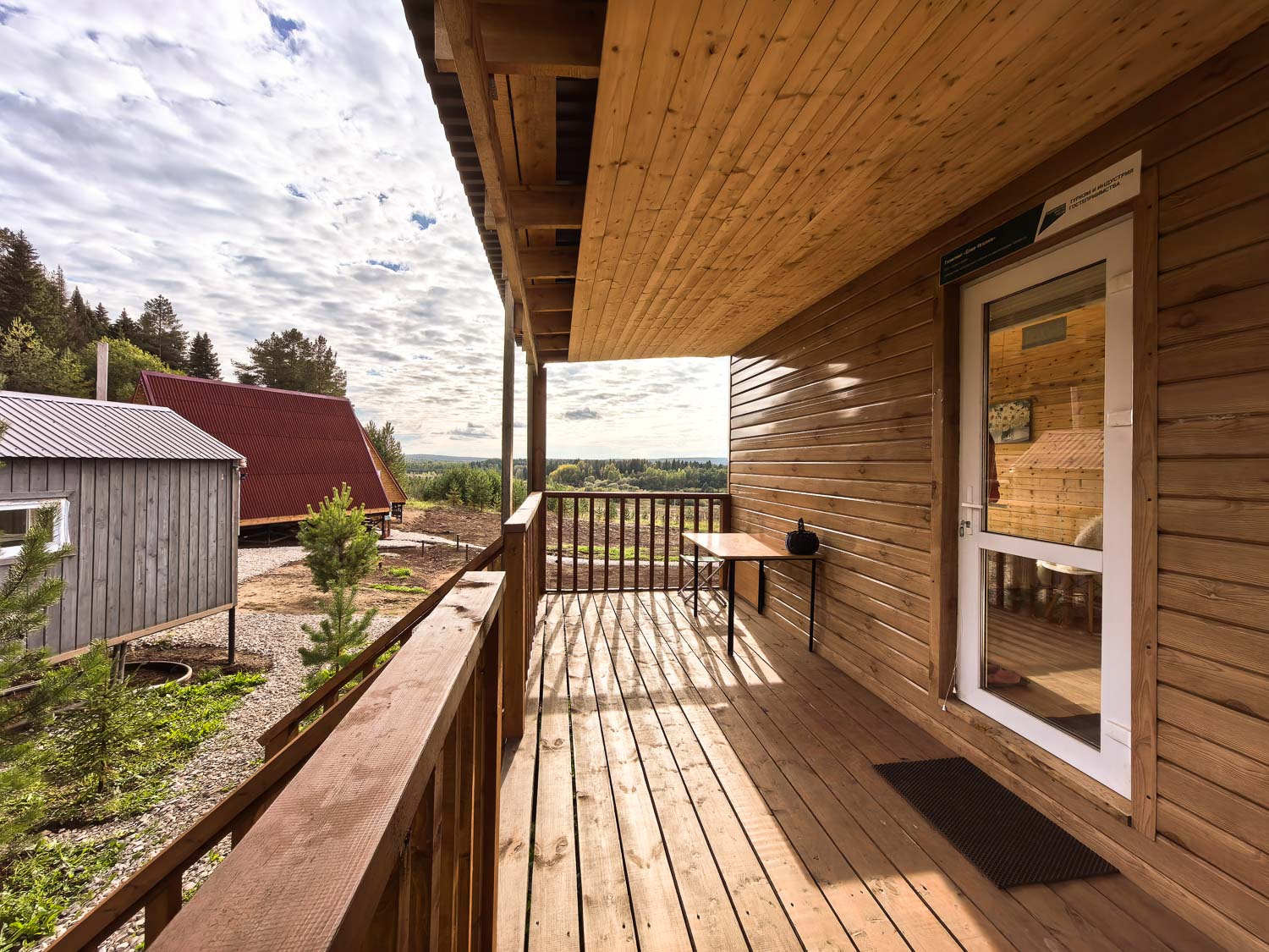 Фото Елки Иголки