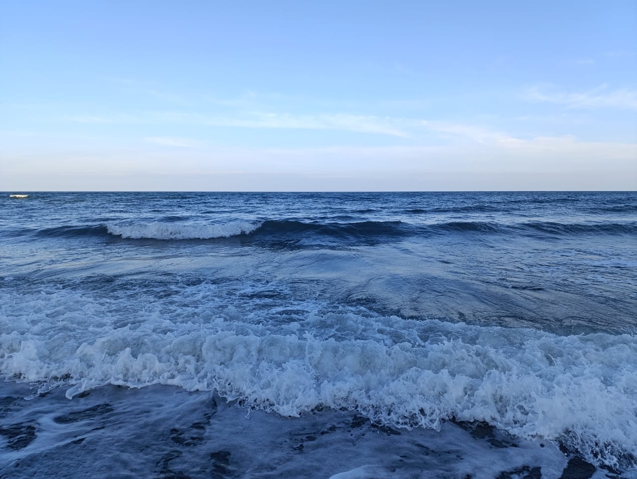 Фото Кипарис