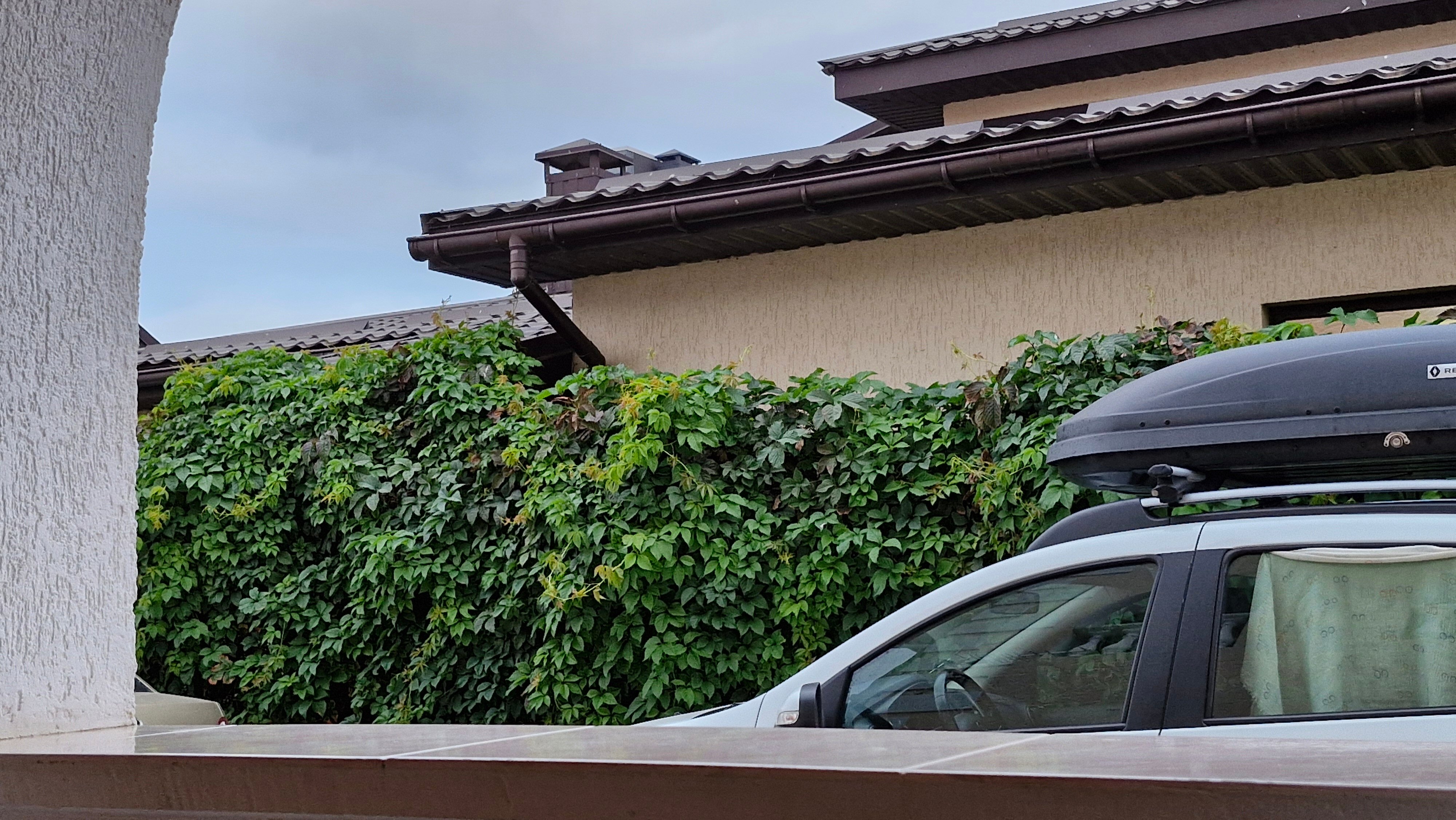 Фото ТриТонЧик