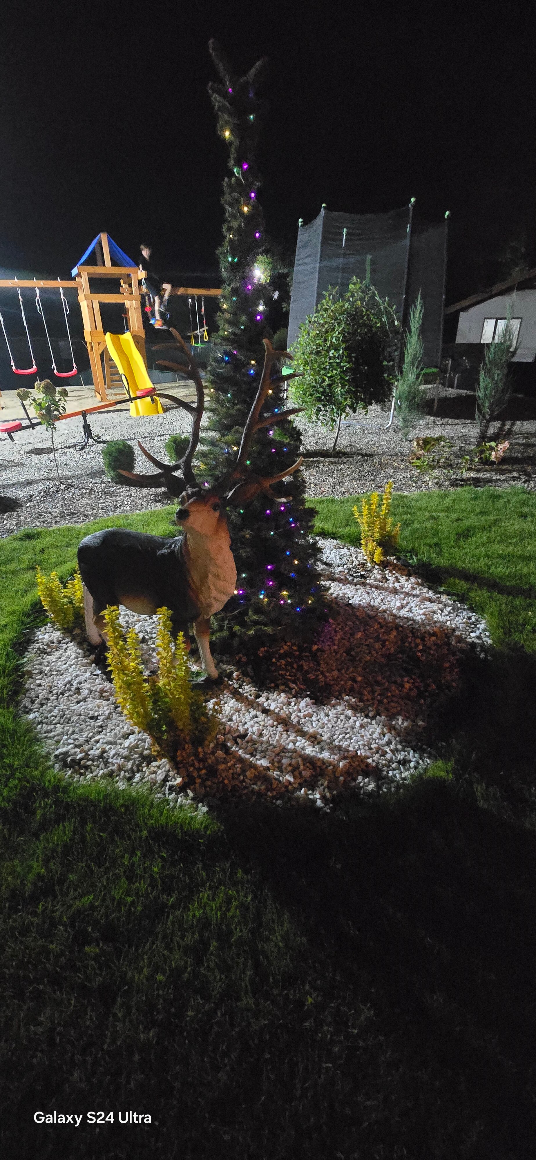 Фото Белая Дача