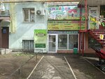 Cactus (Minskaya ulitsa, 25), foreign language courses