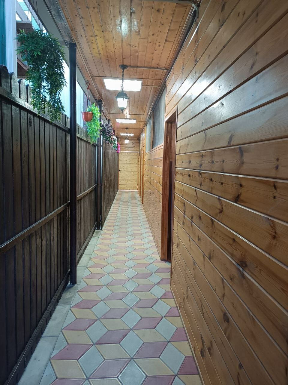 Фото Форест