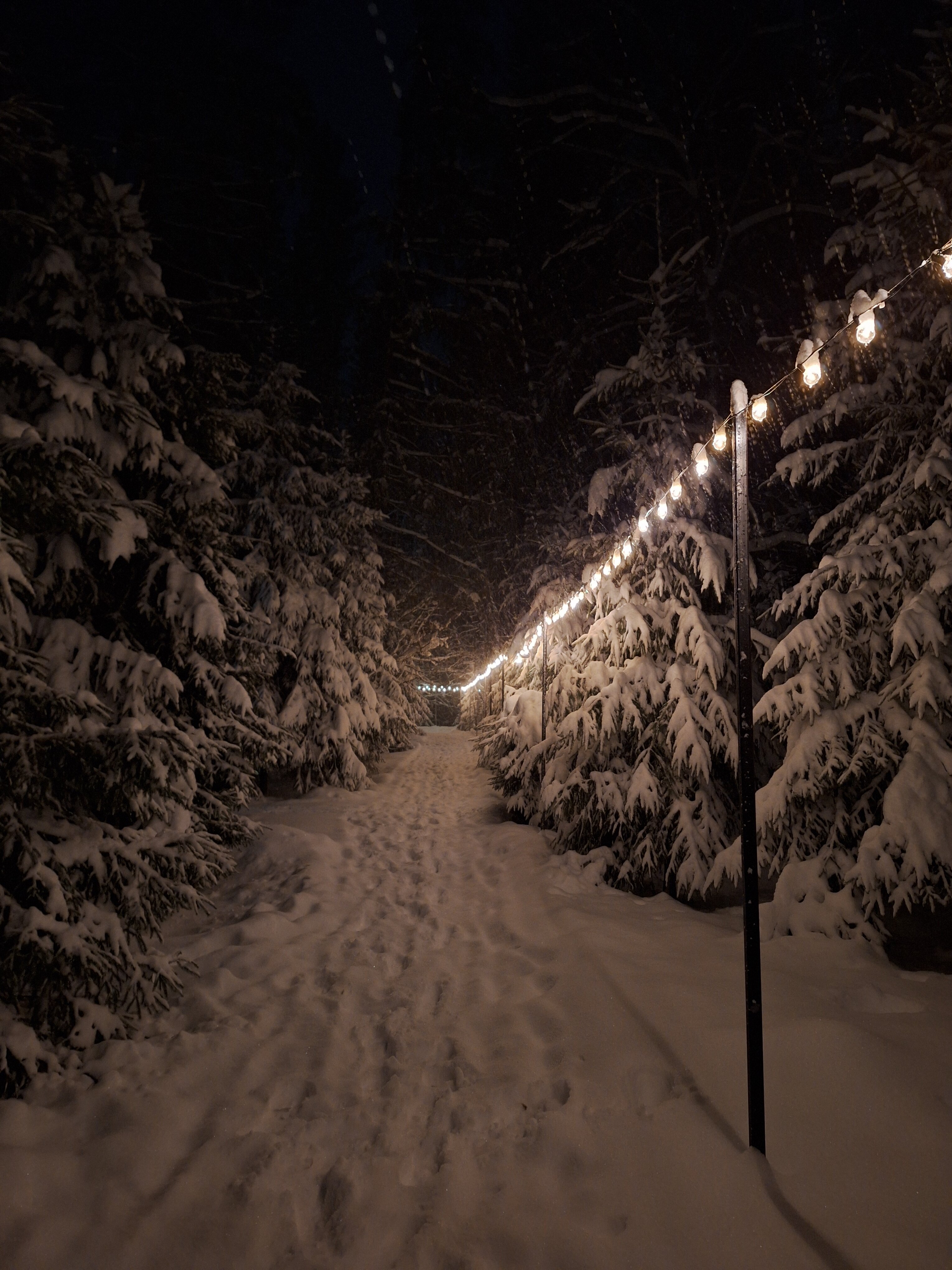 Фото Солонцово