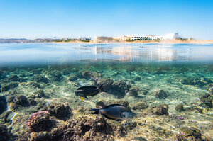 Гостиница The Three Corners Equinox Beach Resort
