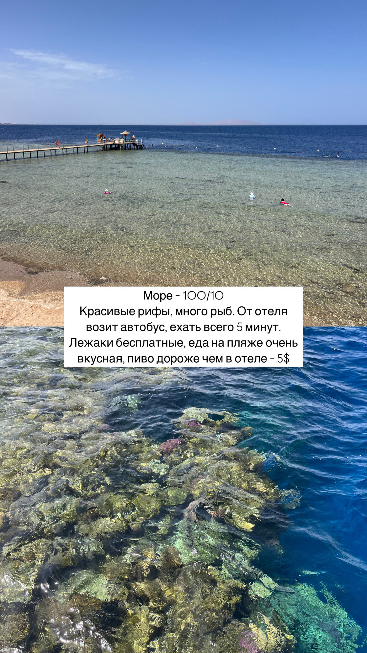 Фото Sharming Inn Hotel