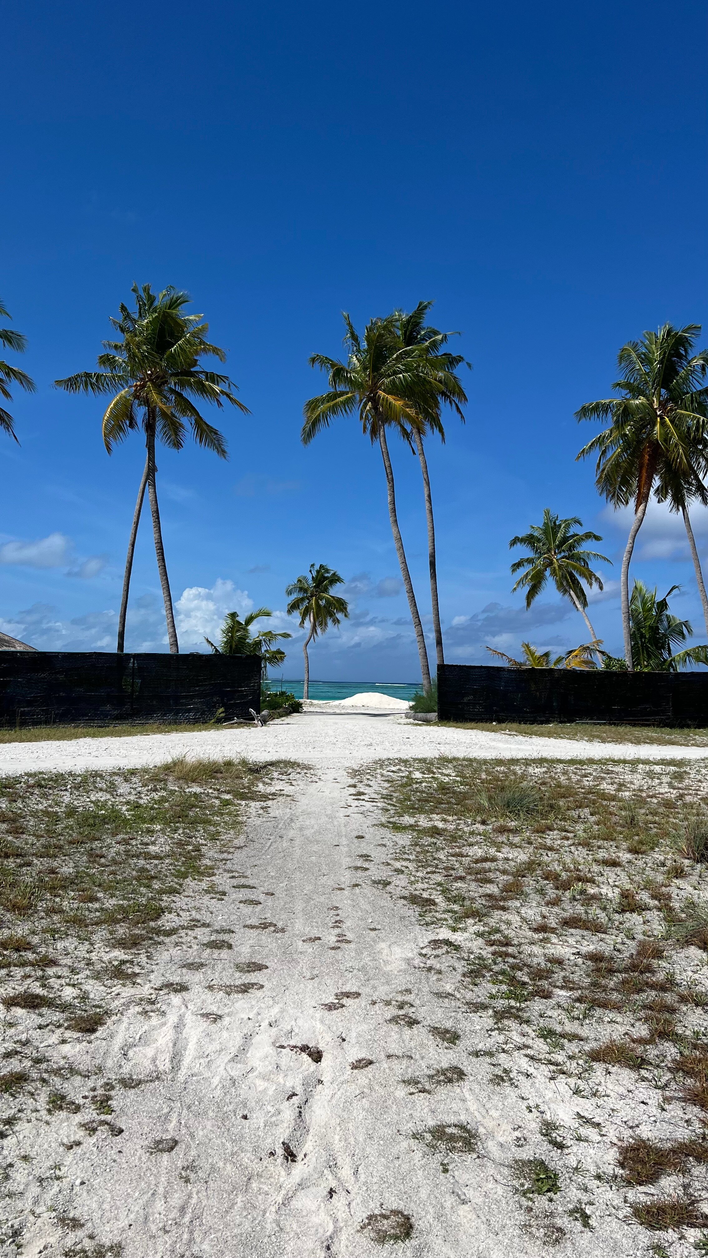 Фото The Bilimbi Guesthouse & Inn