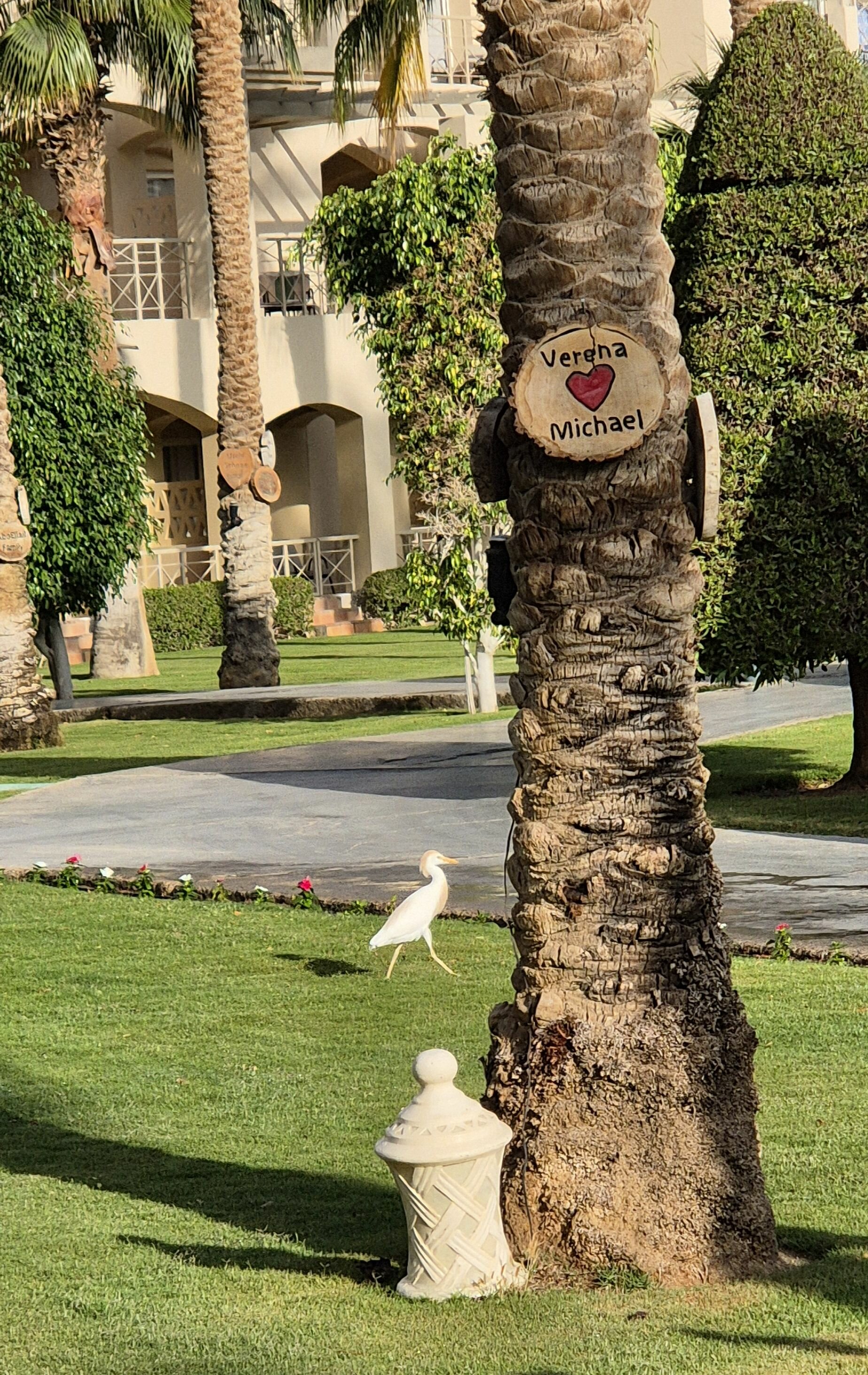 Фото Jaz Makadi Oasis Resort