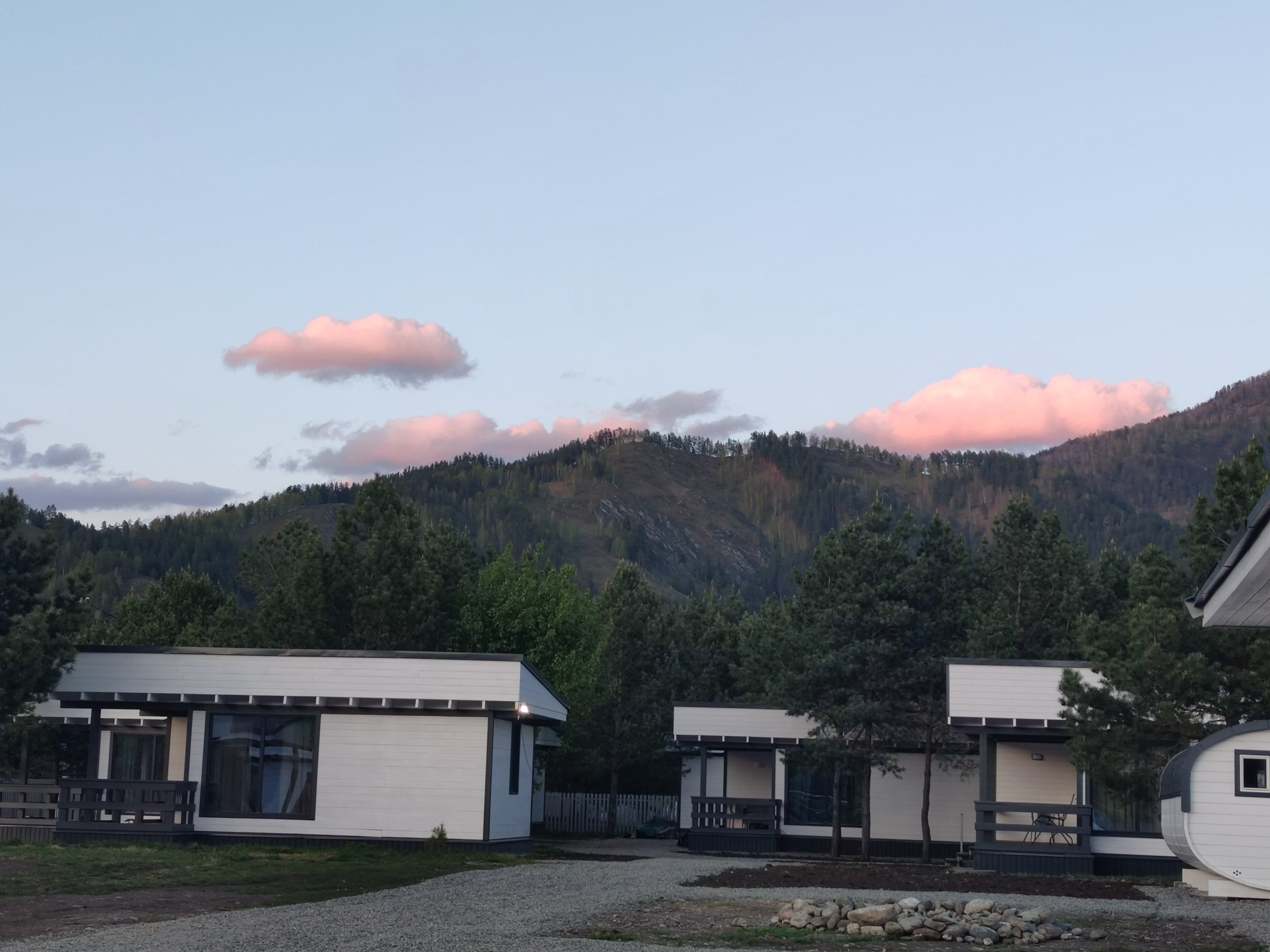 Фото Черника