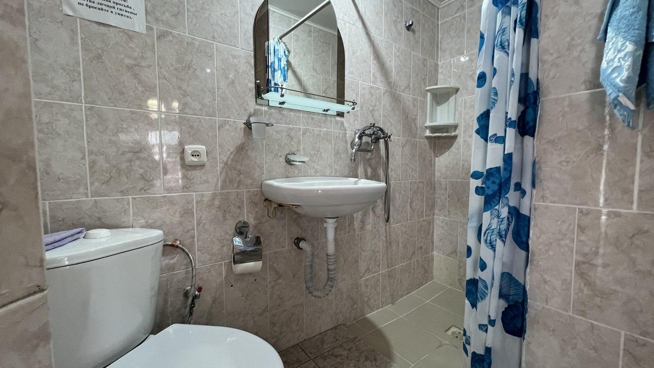 Фото Камелия