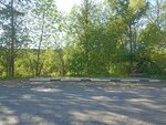 Верхняя Колония (Leningrad Region, Lomonosovskiy District, Gorbunkovskoye selskoye poseleniye, derevnya Verkhnyaya Koloniya, Strelninskoye shosse), parada de transporte público