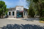 Zapoy (Jalayır street, 9А), karaoke
